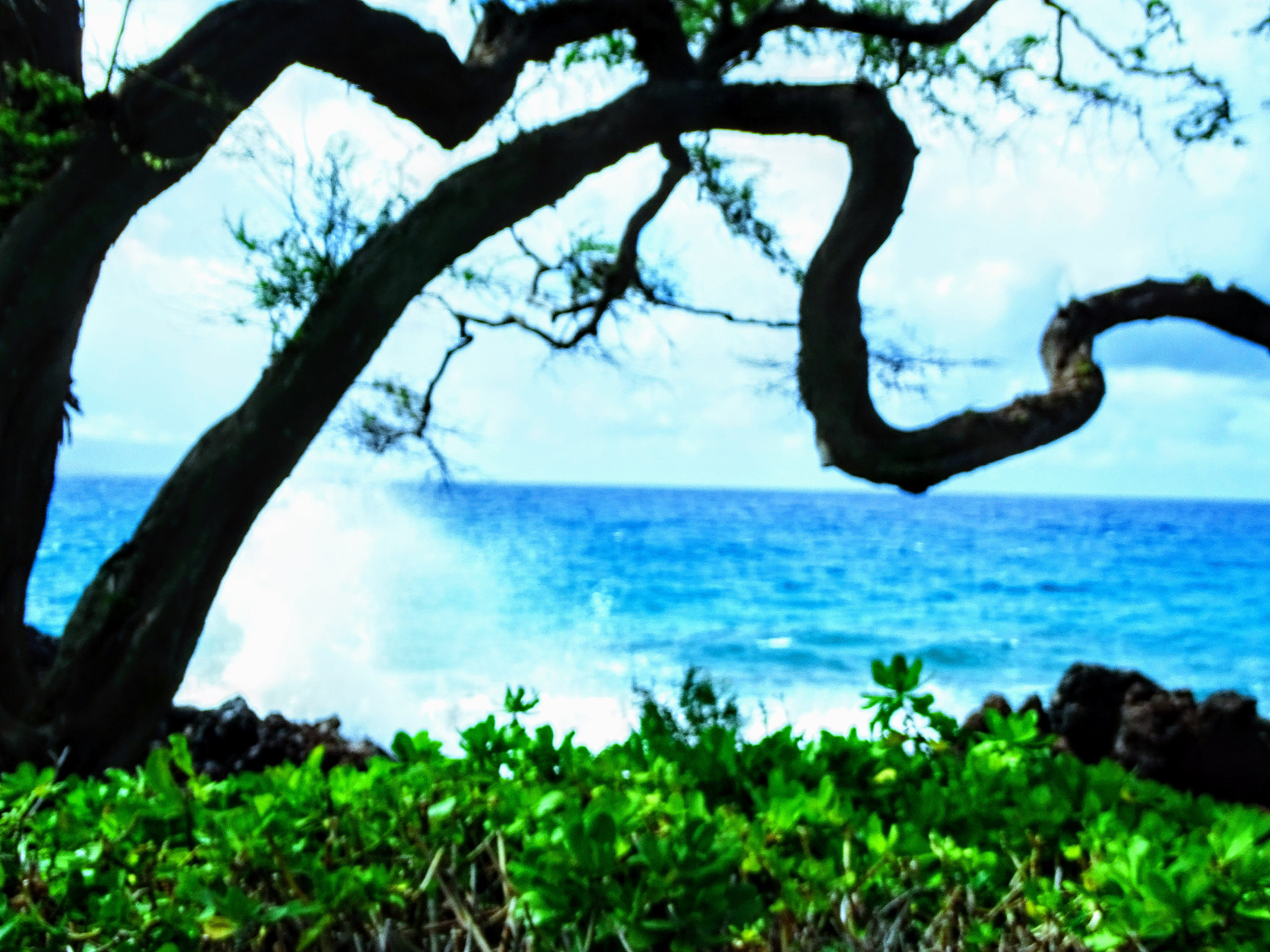 Sony Cyber-shot DSC-HX400V sample photo. Waves crashing in maui, hawaii photography