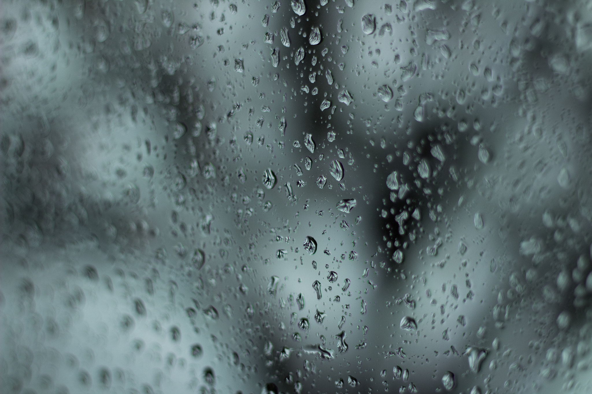 Canon EF 50mm F1.8 II sample photo. Raindrops photography