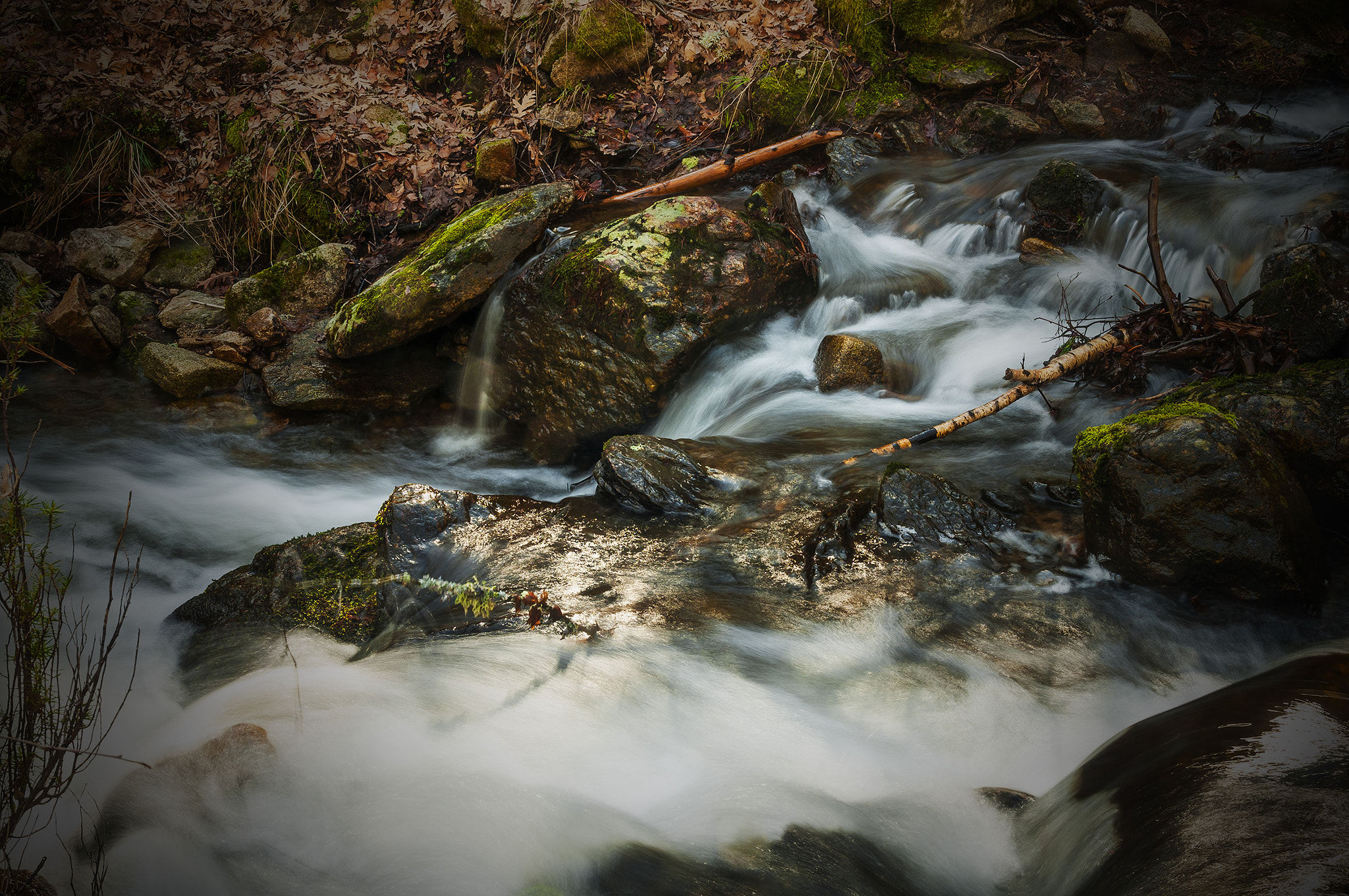 Sigma 17-50mm F2.8 EX DC OS HSM sample photo. Rio879988 photography