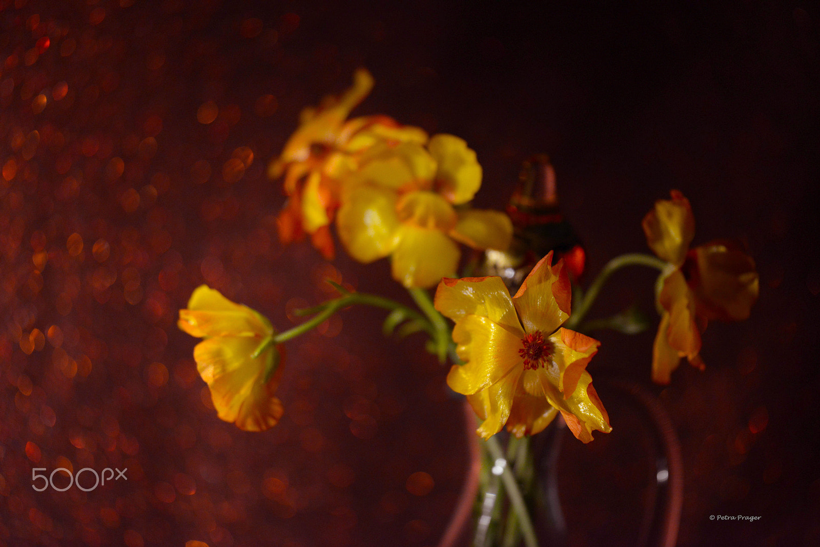 Sigma 150mm F2.8 EX DG OS Macro HSM sample photo. Mysterious light photography