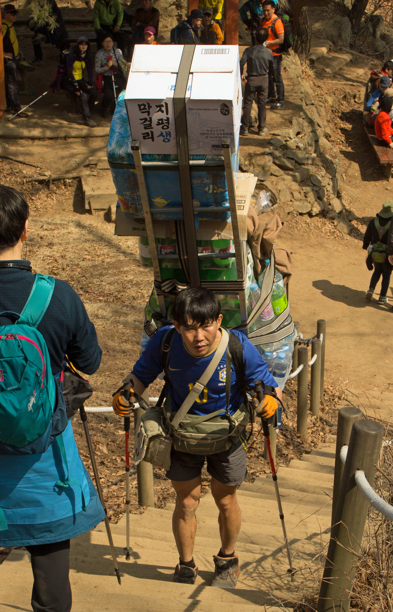 Canon EOS 60D sample photo. Think you work is hard? think again! photography