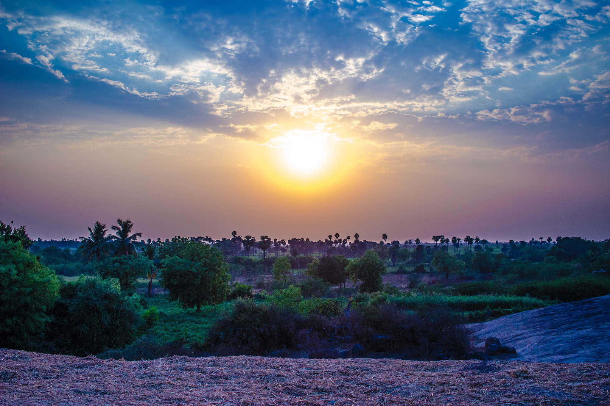 Canon EF-S 24mm F2.8 STM sample photo. Sunset photography