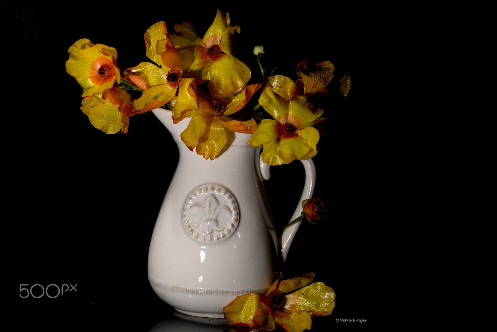 Sigma 150mm F2.8 EX DG OS Macro HSM sample photo. Ranunkeln photography
