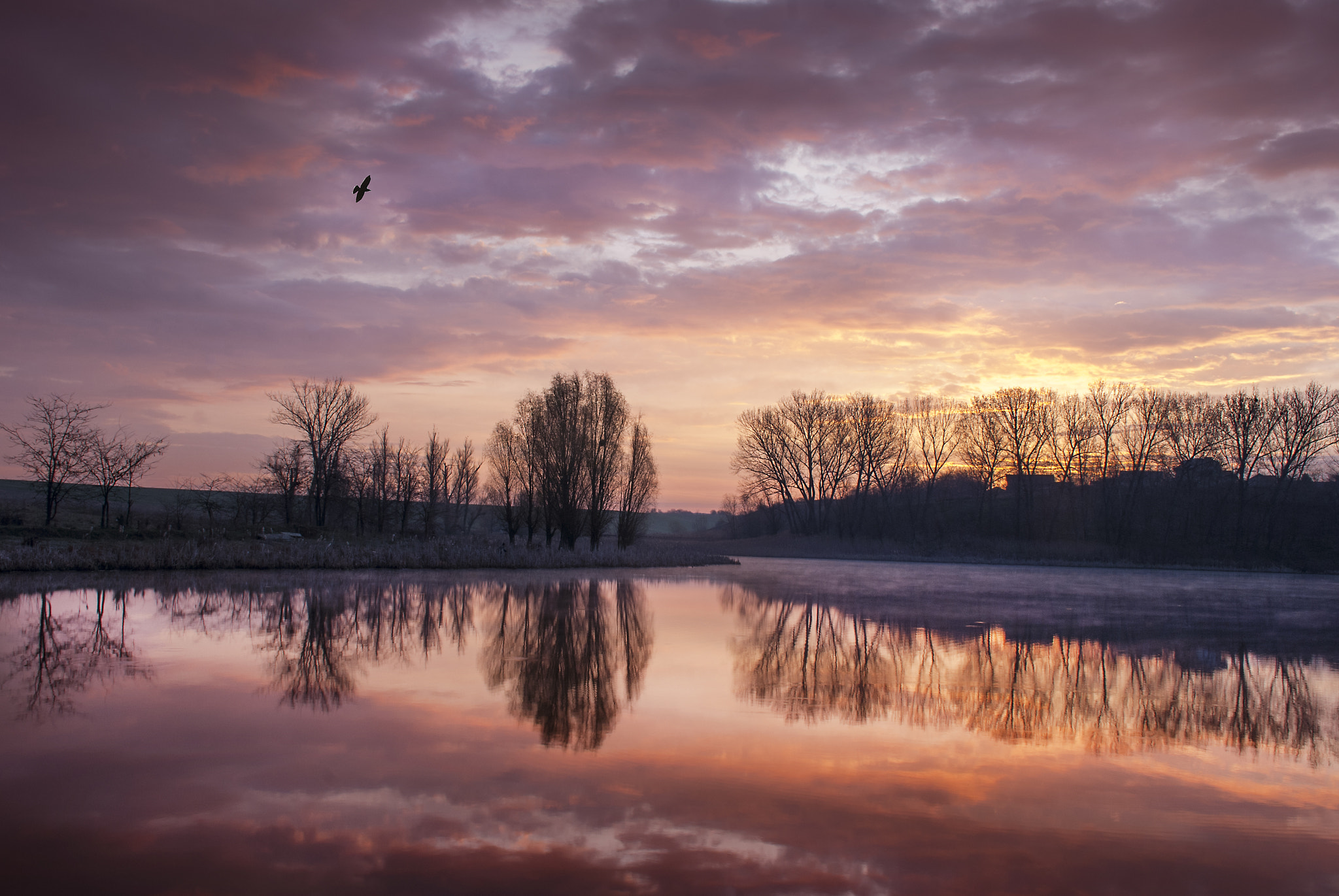 Nikon D80 sample photo. Sunrise photography