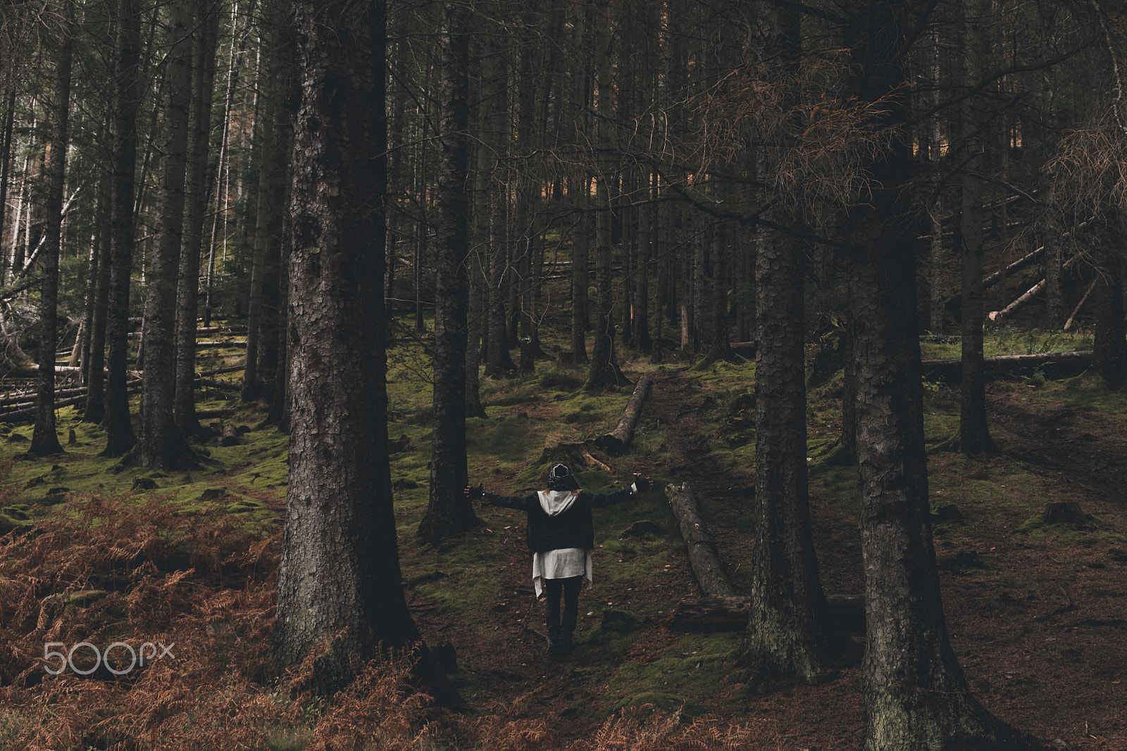 Canon EOS 650D (EOS Rebel T4i / EOS Kiss X6i) sample photo. Breathe | glen nevis, scotland photography