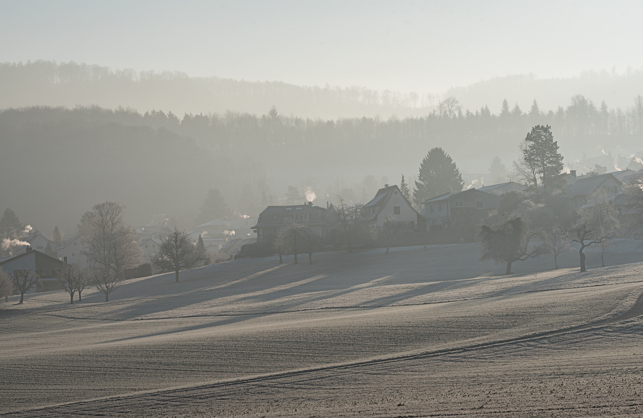 Nikon D750 sample photo. Winter iv photography