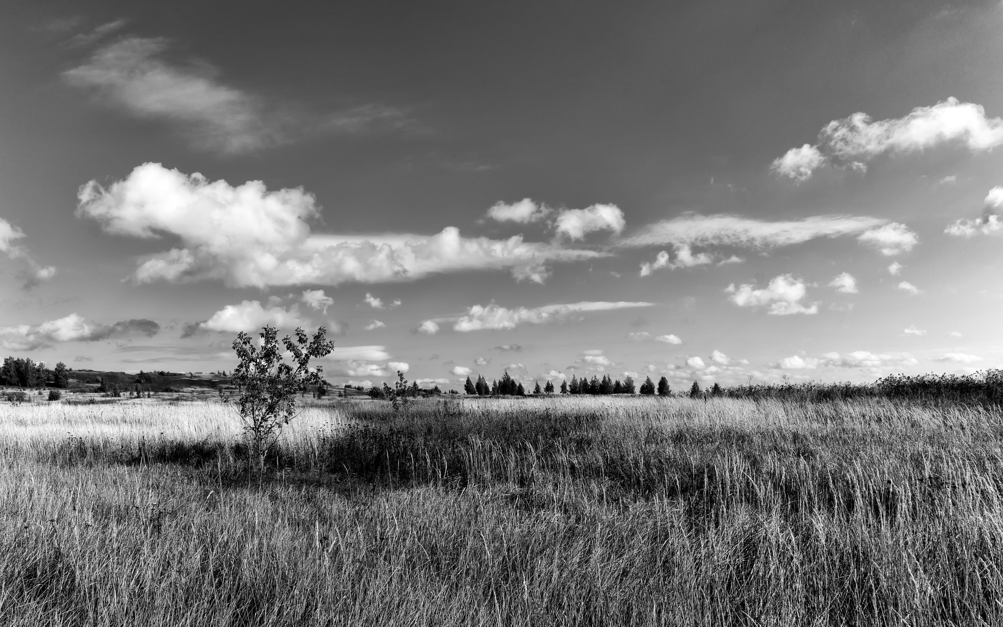 ZEISS Batis 18mm F2.8 sample photo. * photography