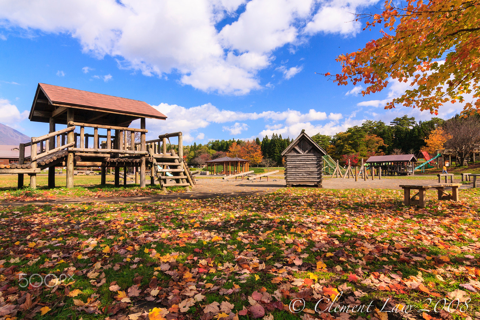 Tokina AT-X Pro 12-24mm F4 (IF) DX sample photo. Autumn colour, koiwai farm.  秋色。小岩井農場 photography