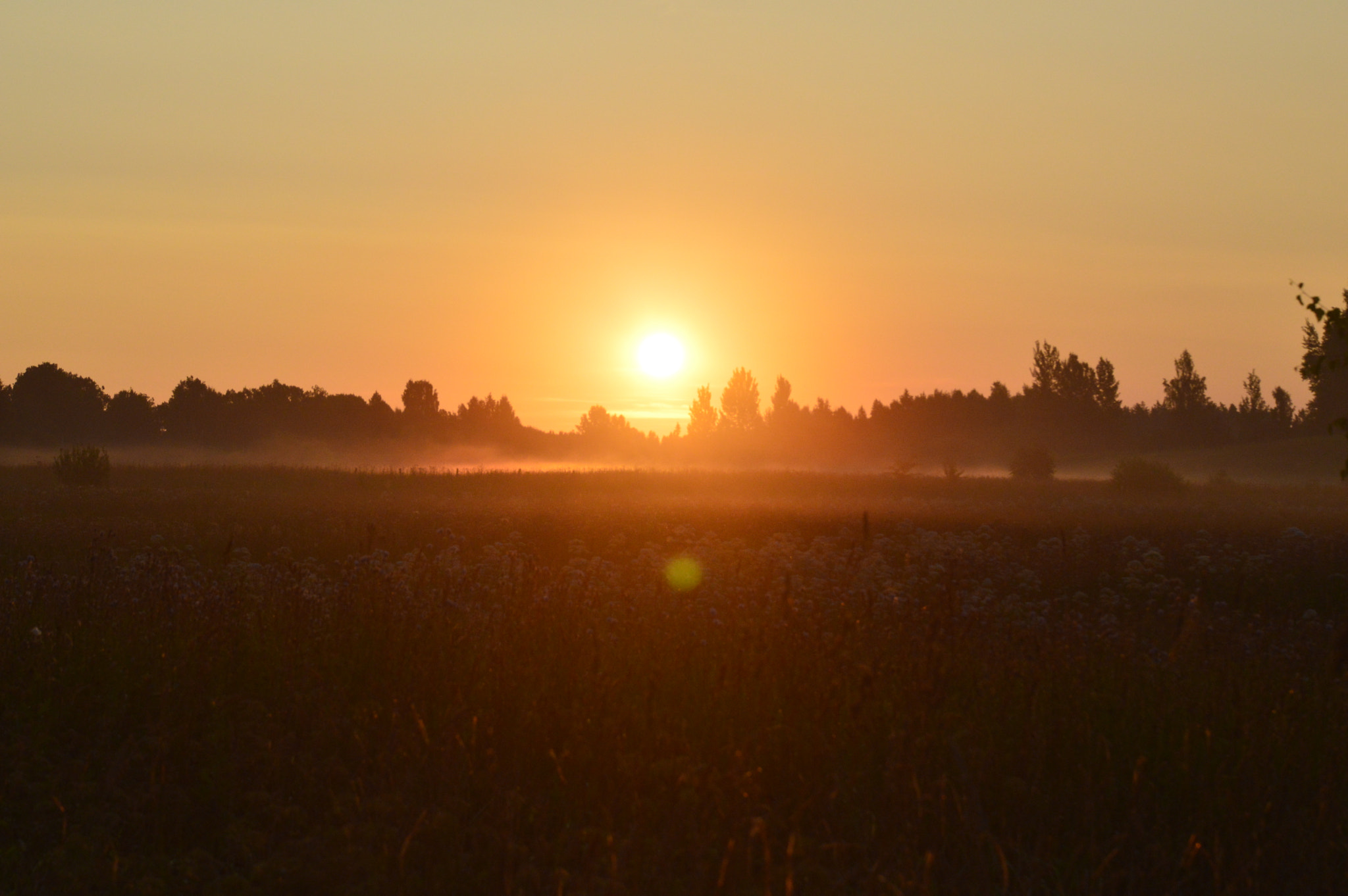 Nikon D3200 sample photo. Sunrise photography