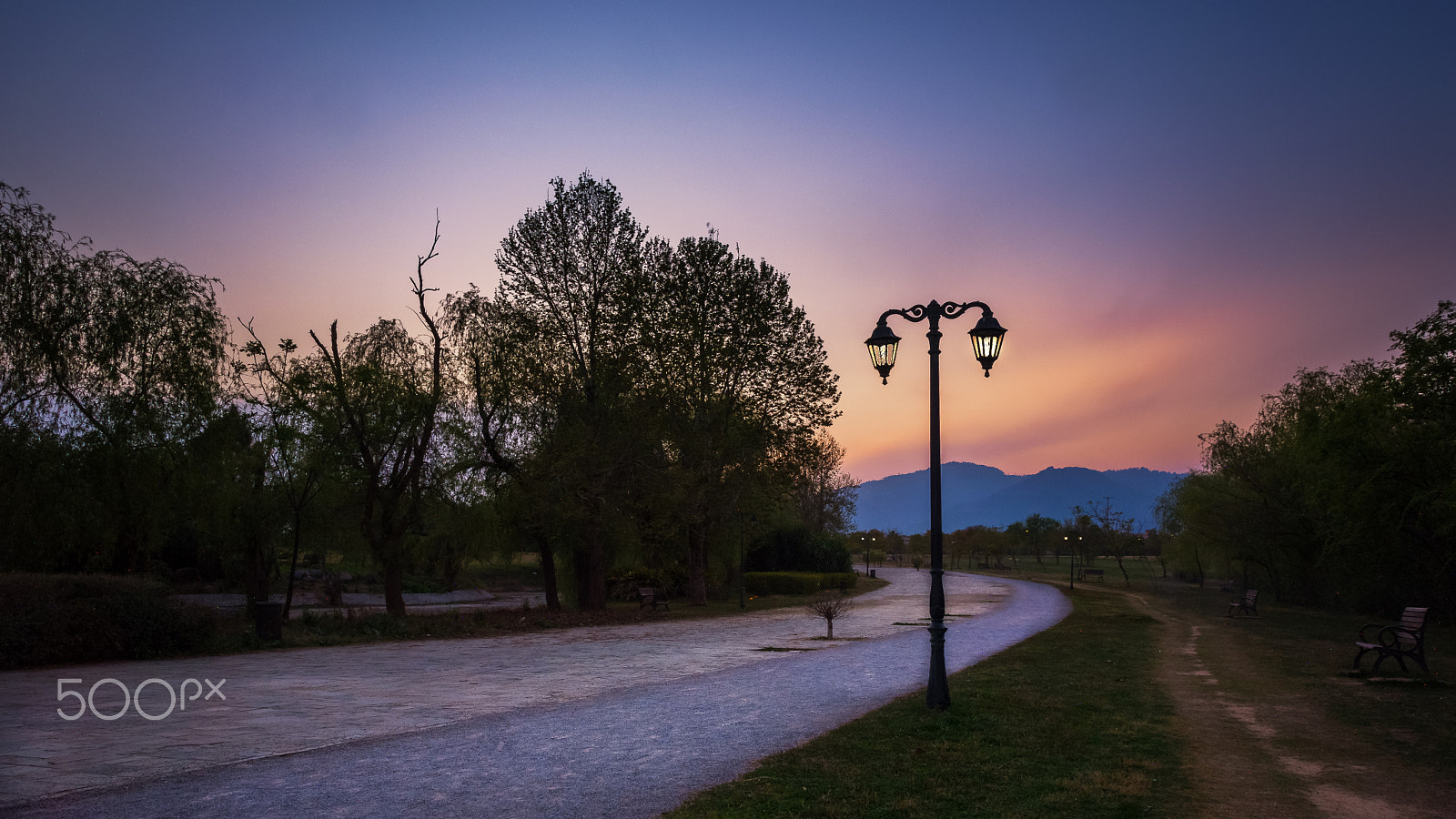 Sigma 17-50mm F2.8 EX DC OS HSM sample photo. Sunset in a park photography