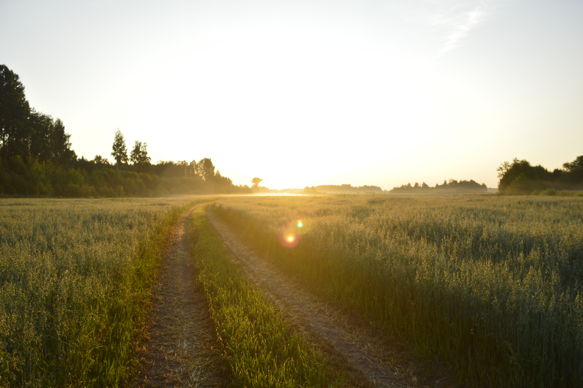 Nikon D3200 sample photo. Works photography