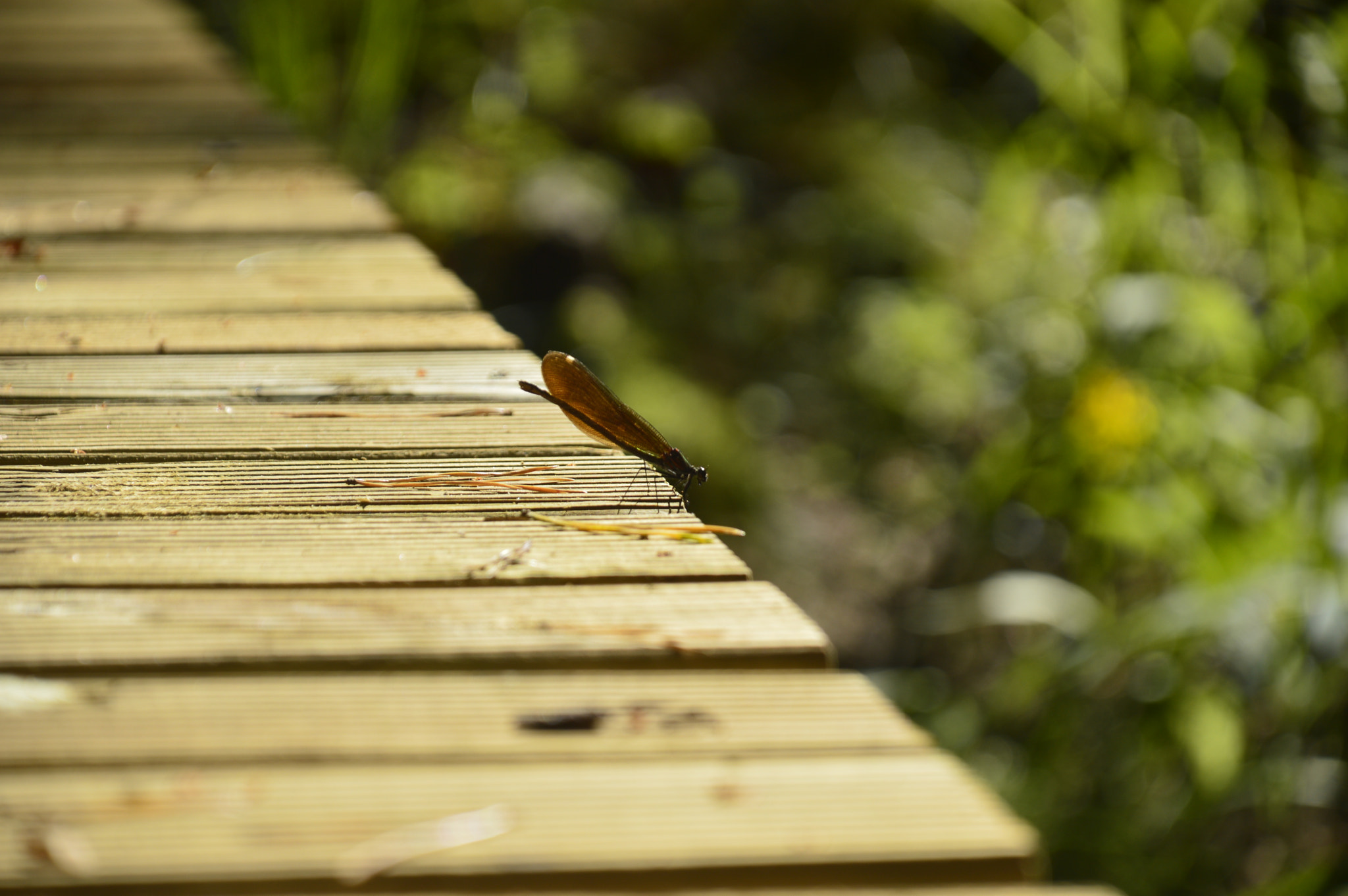 Nikon D3200 sample photo. Spare photography
