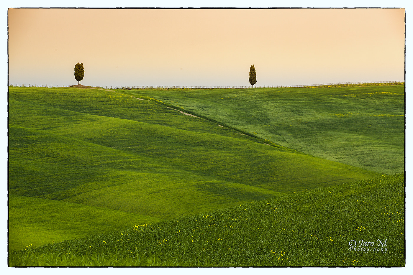 Sigma APO Macro 150mm f/2.8 EX DG HSM sample photo. Tuscany photography
