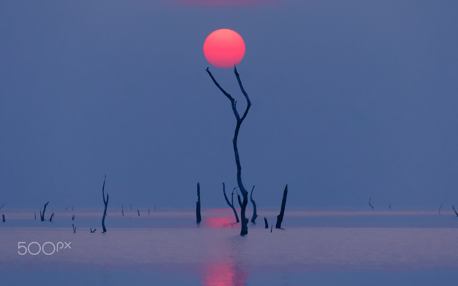 Sigma 18-250mm F3.5-6.3 DC OS HSM sample photo. Sunrise sky over the lake in the morning. thailand. photography