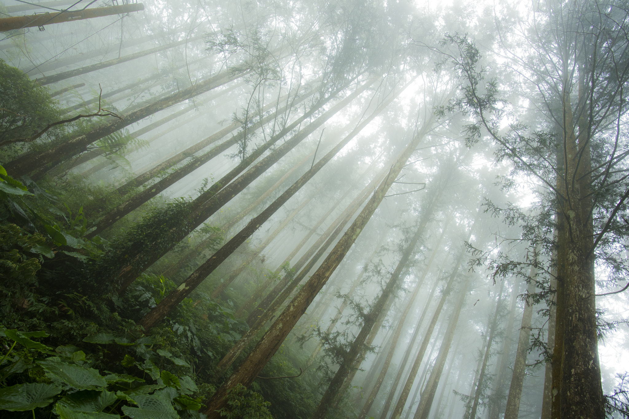 Nikon D750 + Nikon AF-S Nikkor 20mm F1.8G ED sample photo. Vin photography
