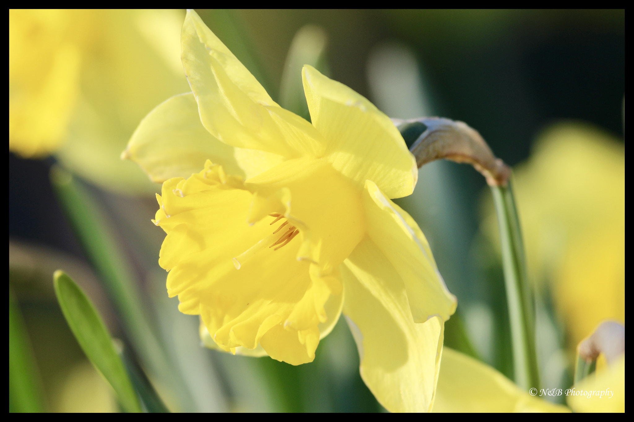 Canon EF 100-400mm F4.5-5.6L IS USM sample photo. Untitled photography