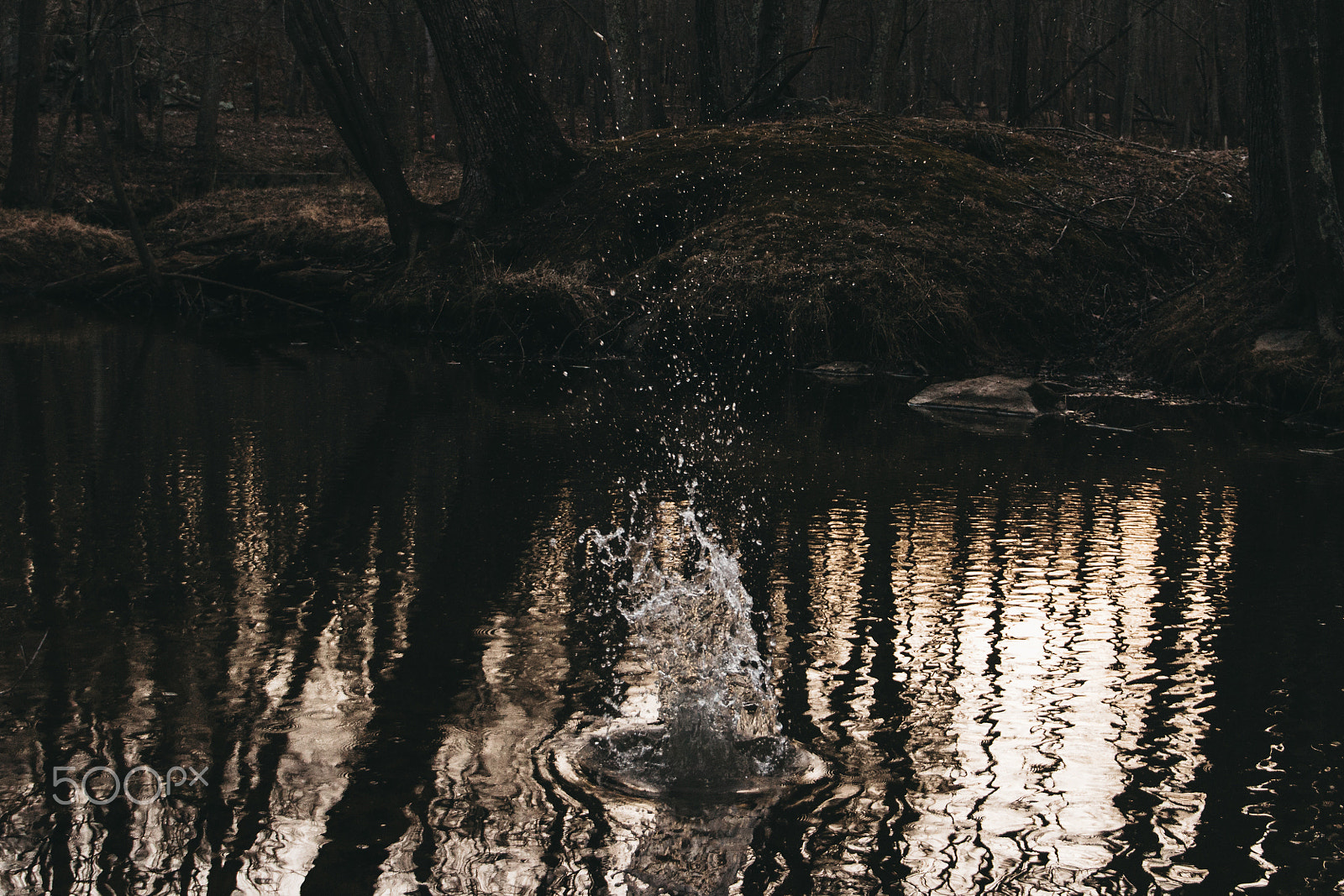 Canon EOS 650D (EOS Rebel T4i / EOS Kiss X6i) sample photo. Ripple effect | lake needwood photography