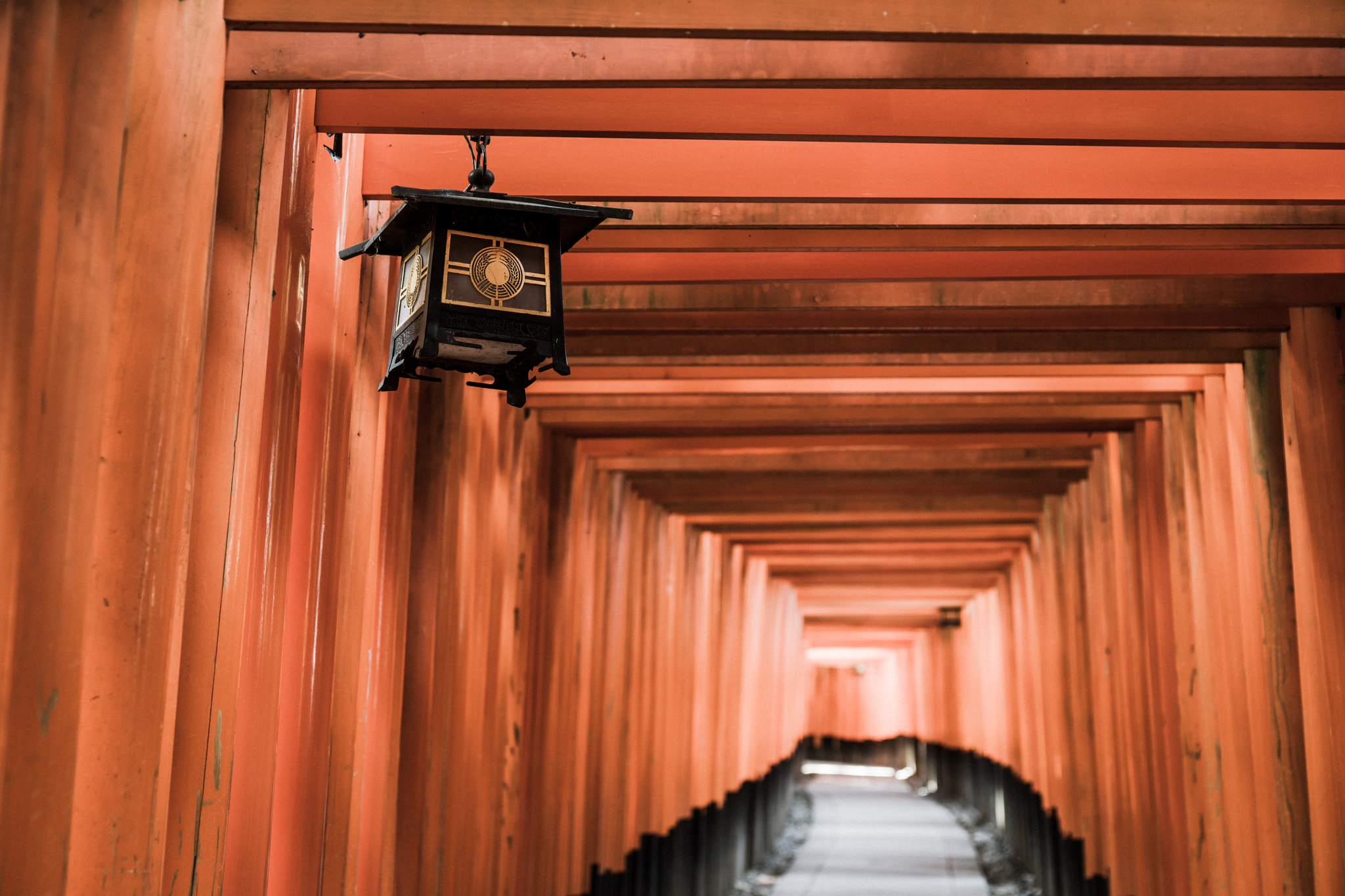 Sony a7 sample photo. Red tori gate at fushimi inari shrine in kyoto, japan photography