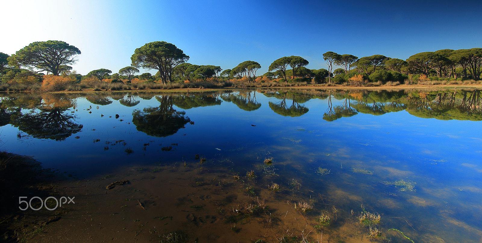 Canon EF-S 17-85mm F4-5.6 IS USM sample photo. Lake photography