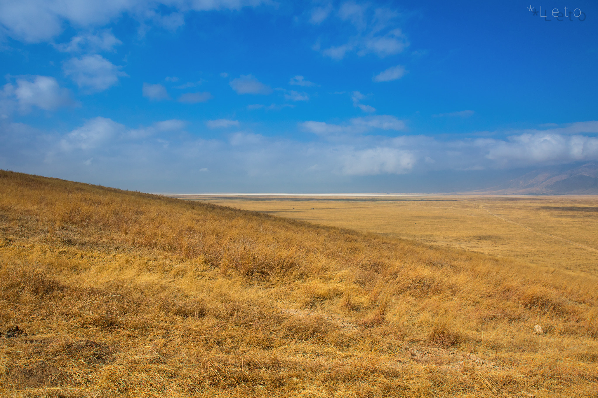 Canon EF-S 17-55mm F2.8 IS USM sample photo. Savanna horizon photography