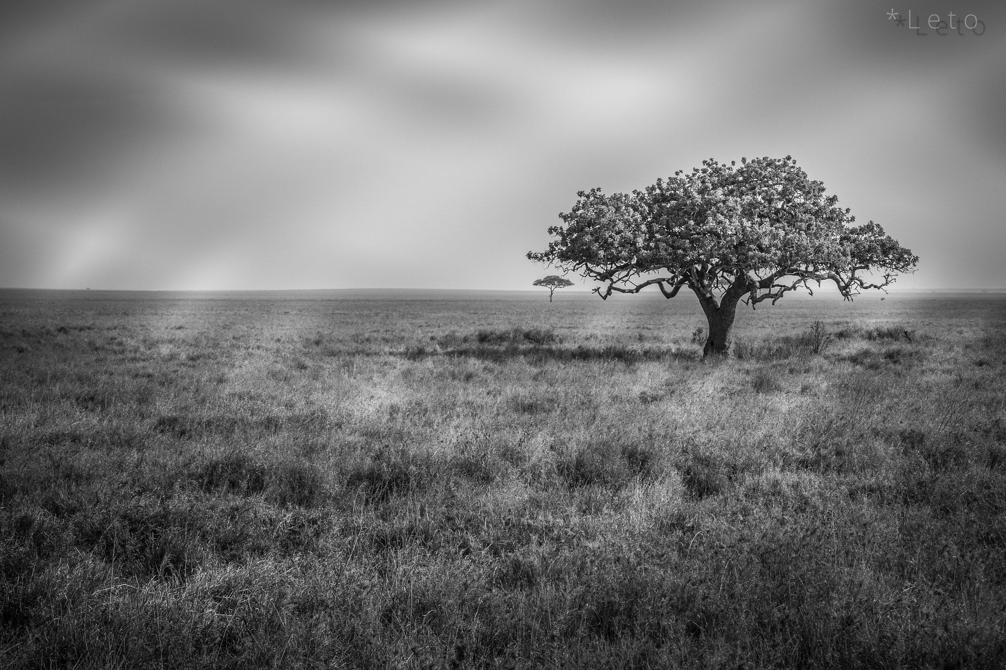 Canon EF-S 17-55mm F2.8 IS USM sample photo. The endless serengeti photography