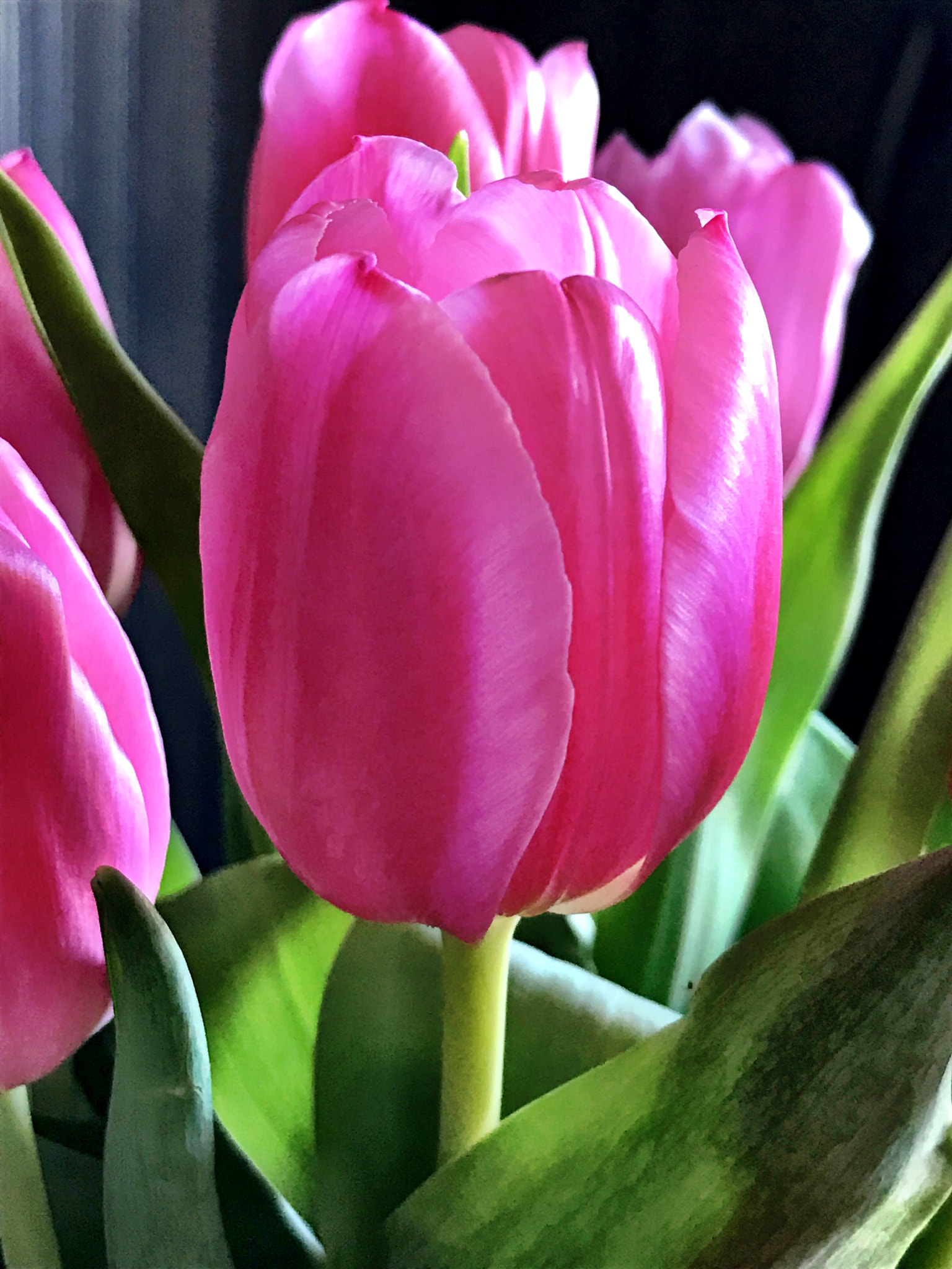 Apple iPhone9,4 sample photo