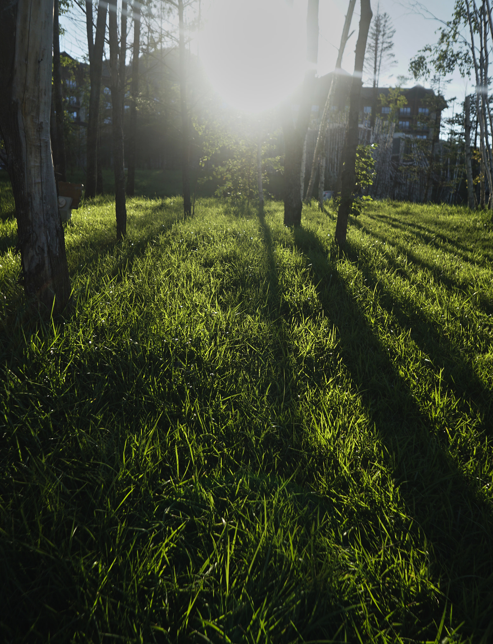 Sony E 16mm F2.8 sample photo. Sunset photography
