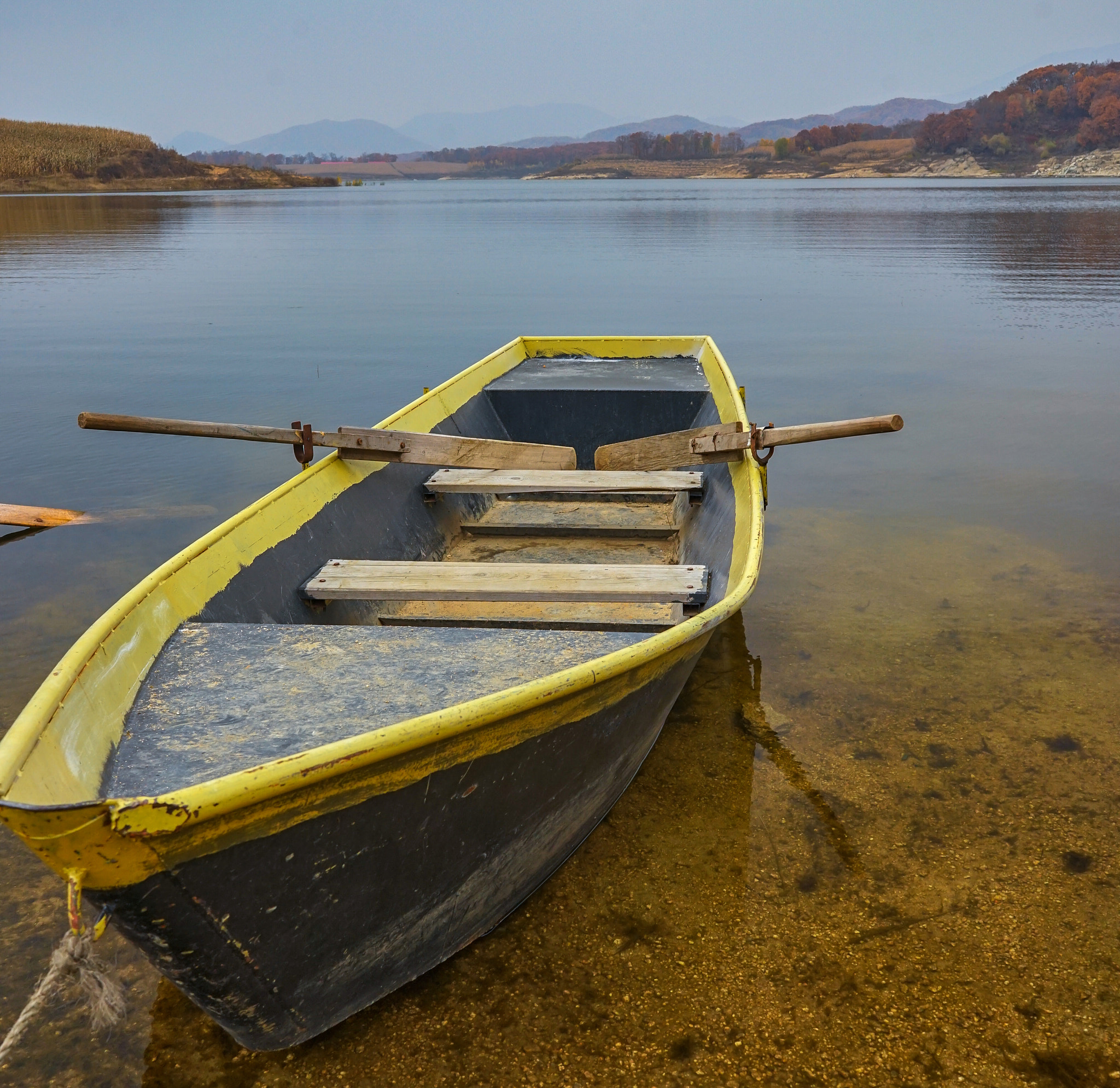 Sony FE 28mm F2 sample photo. Maple valley jilin photography