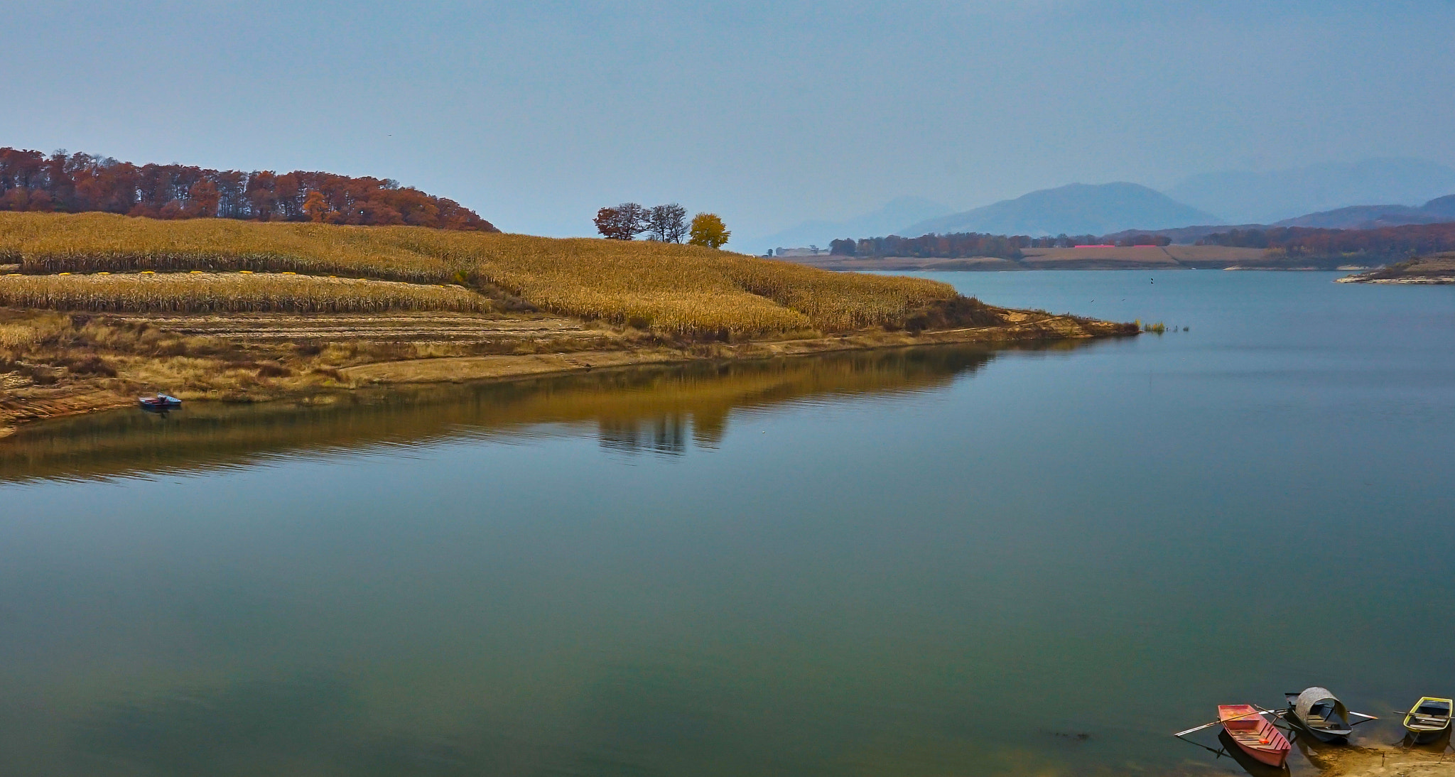 Sony FE 28mm F2 sample photo. Maple valley jilin photography