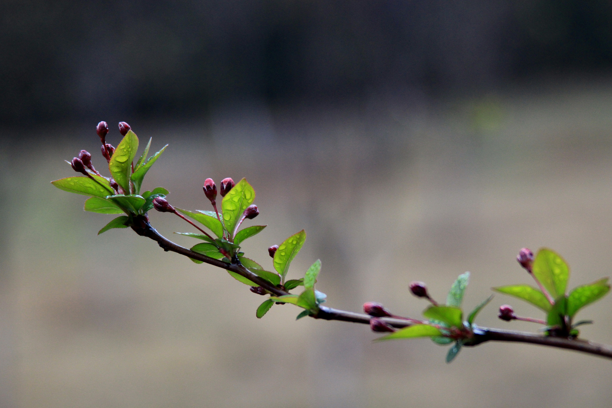 Canon EF 28-200mm F3.5-5.6 USM sample photo. Spring machine photography