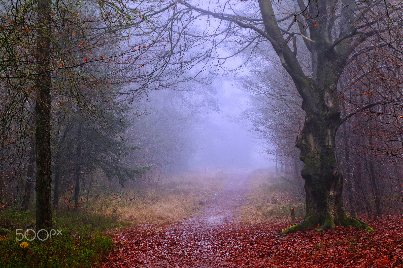 Canon EF 70-200mm F2.8L USM sample photo. Peaceful sunday morning photography