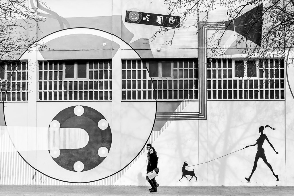Fujifilm X-E1 + Fujifilm XF 18-55mm F2.8-4 R LM OIS sample photo. Fermax building photography