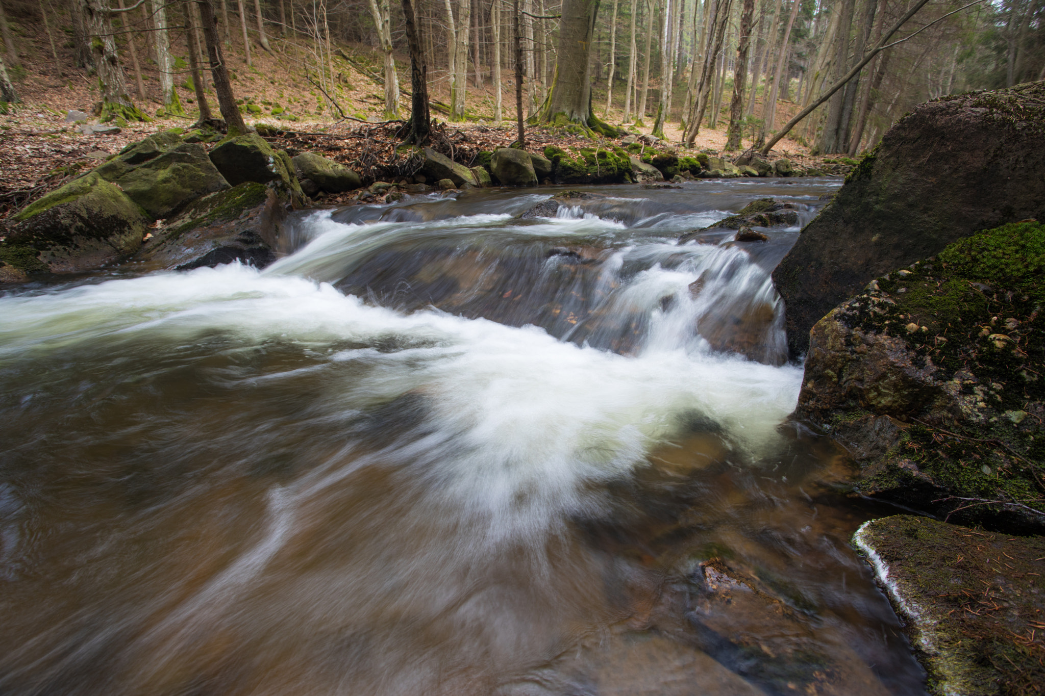 Canon EF 17-40mm F4L USM sample photo. River photography