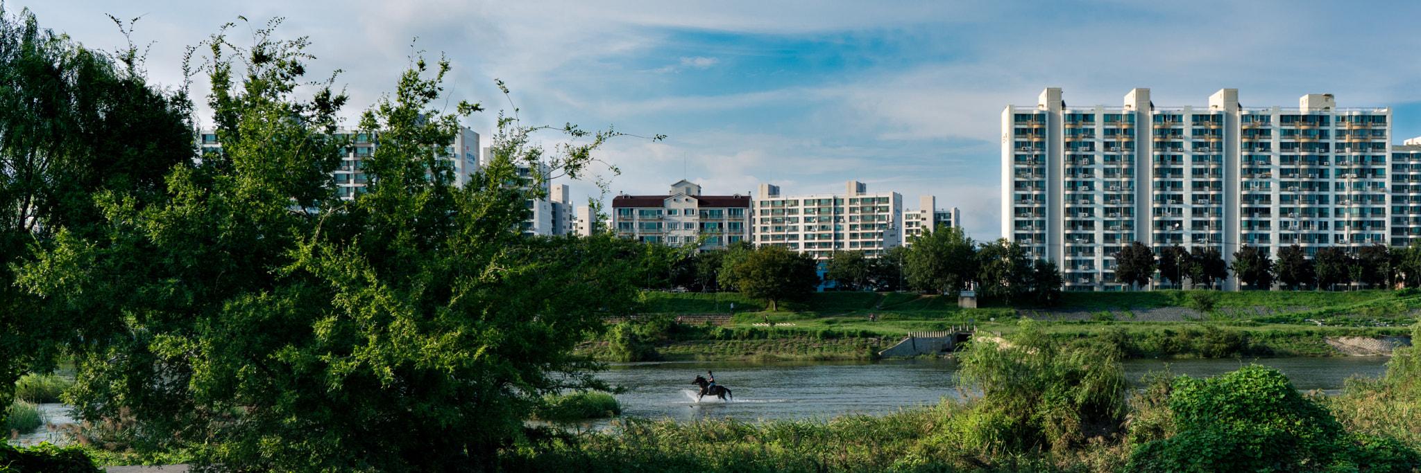 Sony a7R II + ZEISS Batis 25mm F2 sample photo. Cut by panorama photography