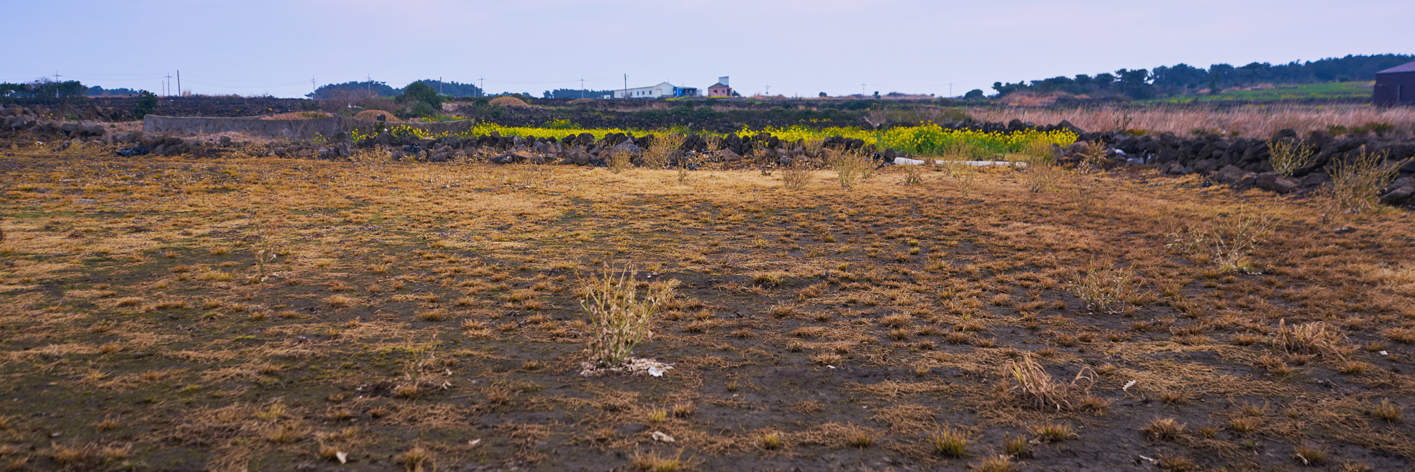 Sony FE 28mm F2 sample photo. Cut by panorama photography