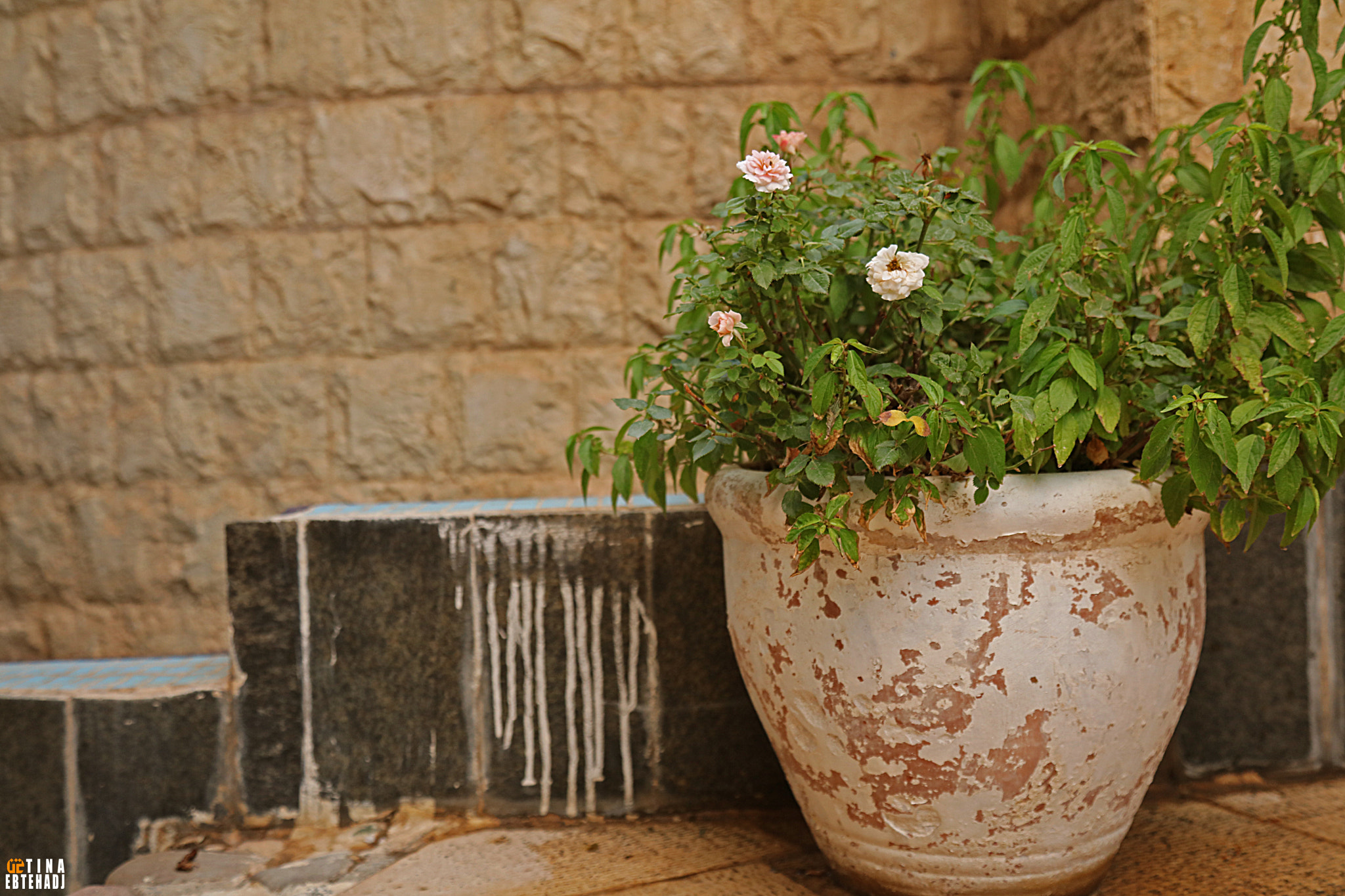 Canon EOS 5DS R sample photo