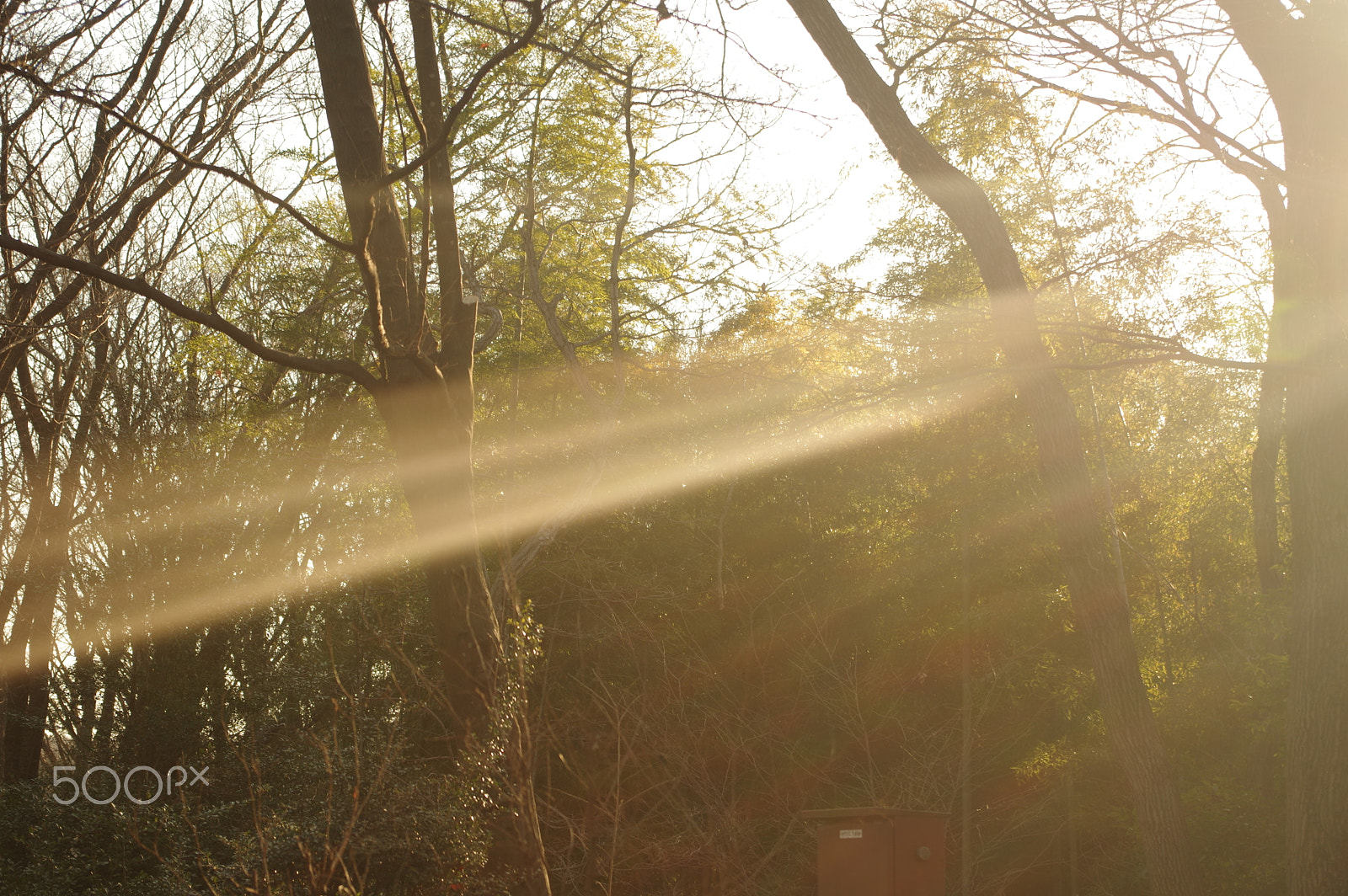 smc PENTAX-DA L 18-55mm F3.5-5.6 sample photo. Morning light photography