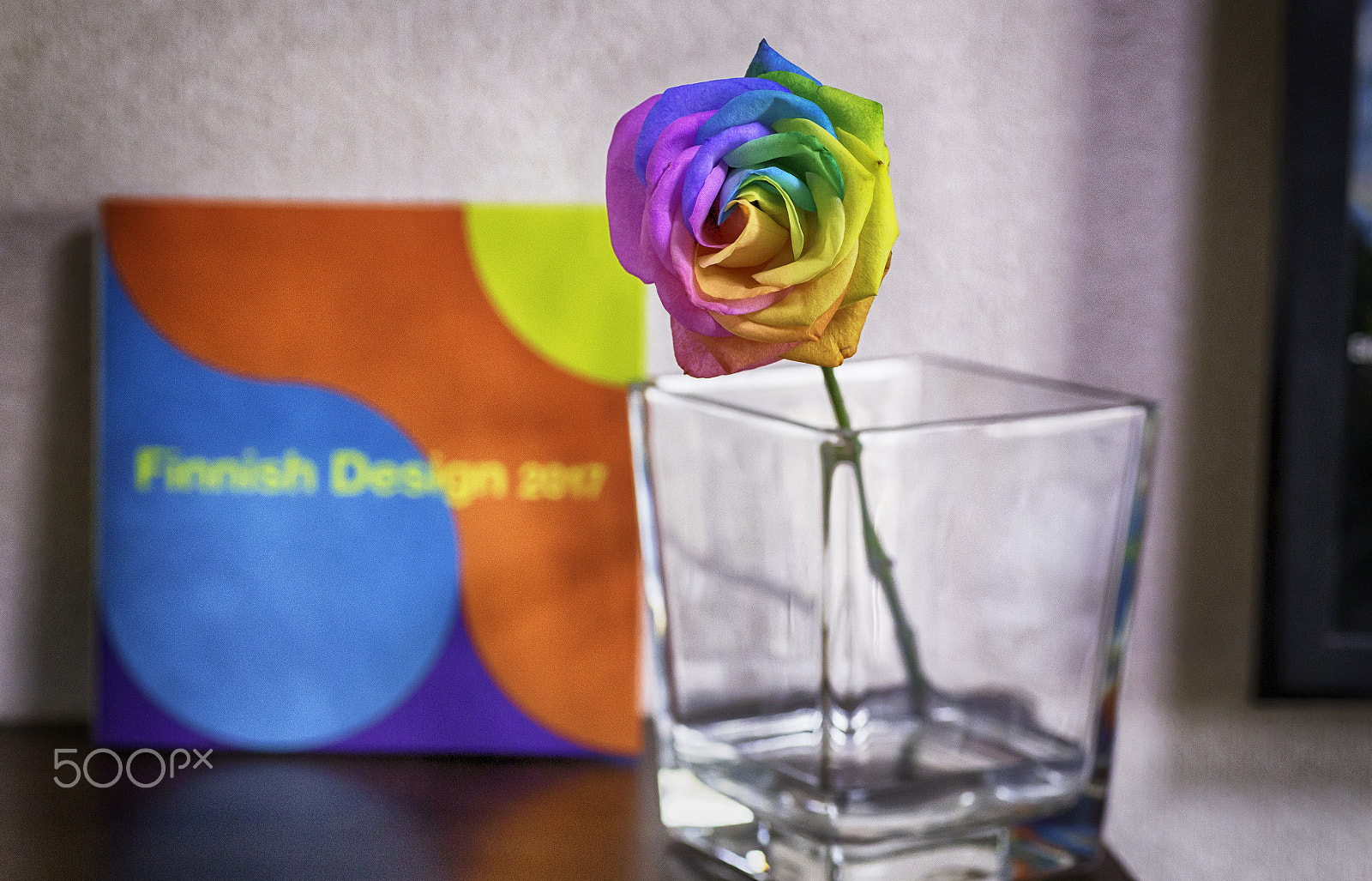 Sigma 50mm f/1.4 EX DG HSM + 1.4x sample photo. Rainbow rose photography