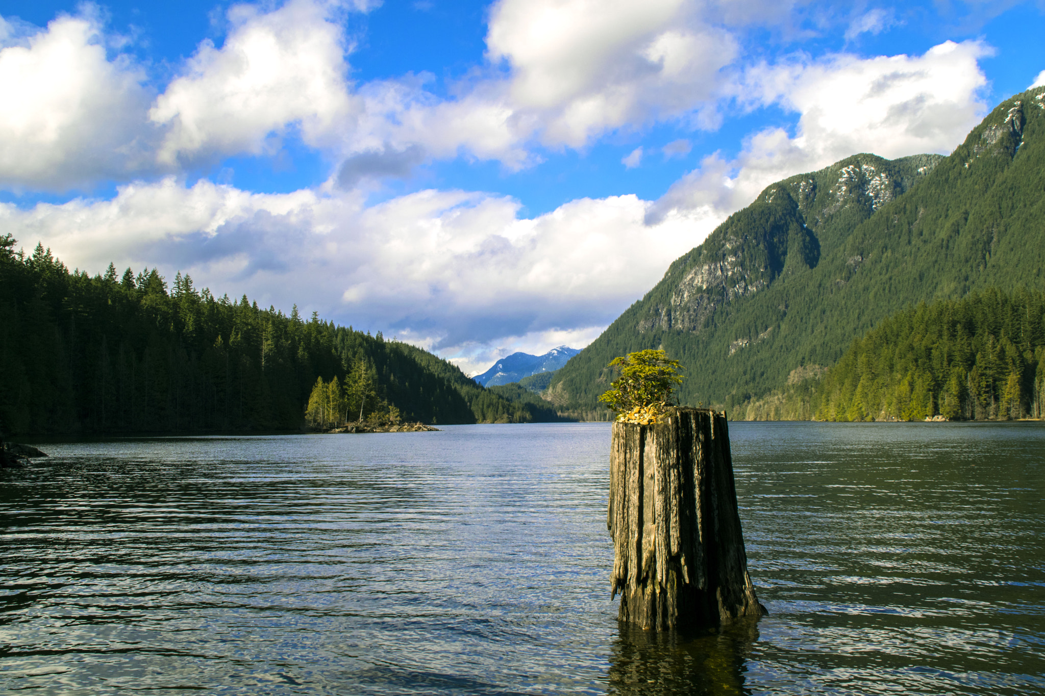 Nikon D3300 + Tamron AF 18-200mm F3.5-6.3 XR Di II LD Aspherical (IF) Macro sample photo. Buntzen lake kanada photography