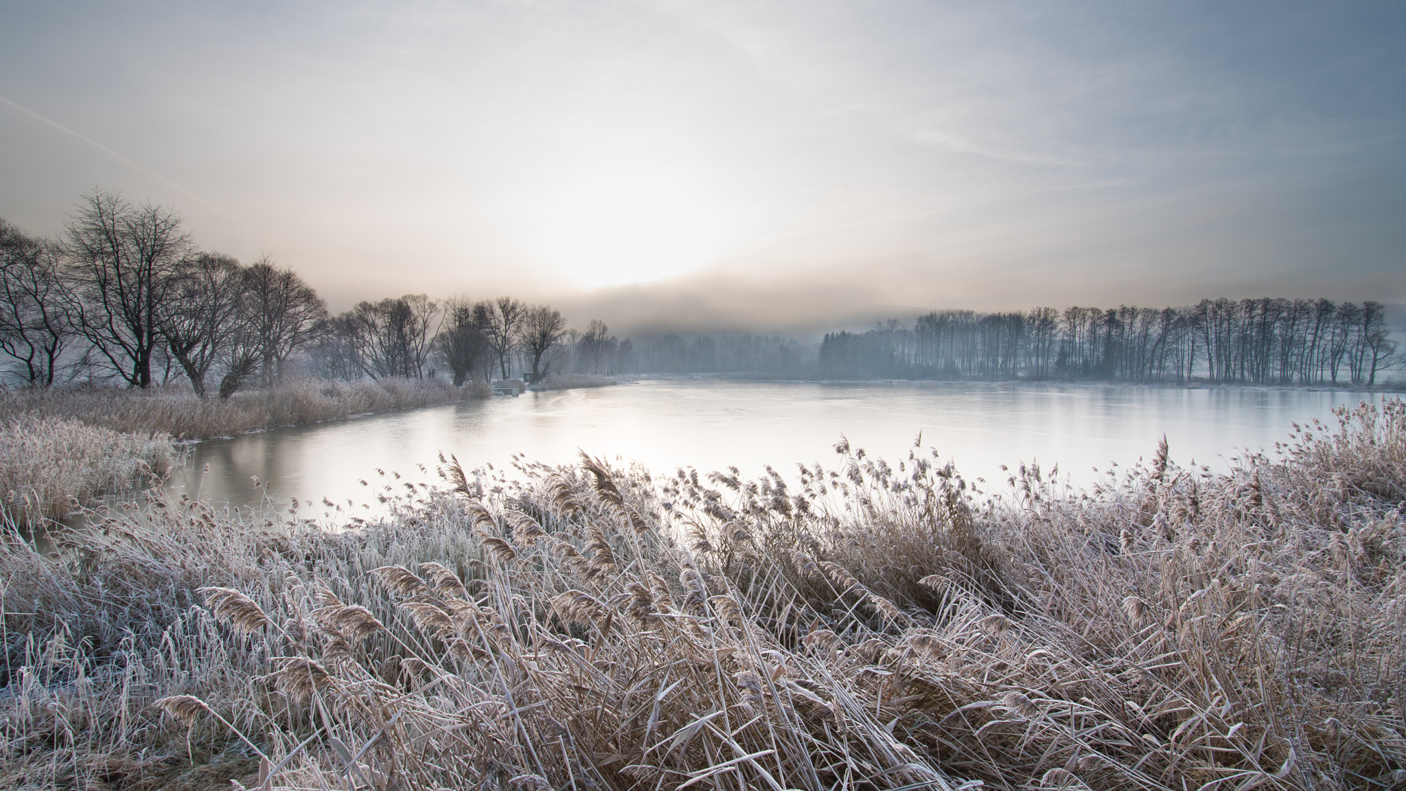 Nikon D5500 sample photo. The pond photography