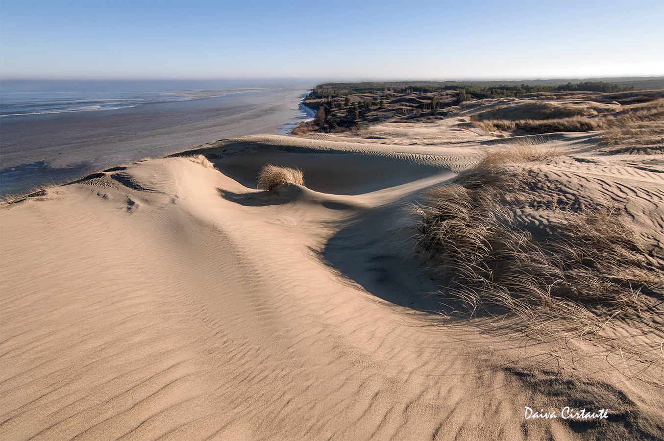 Tokina AT-X Pro 11-16mm F2.8 DX sample photo. Dune bends photography