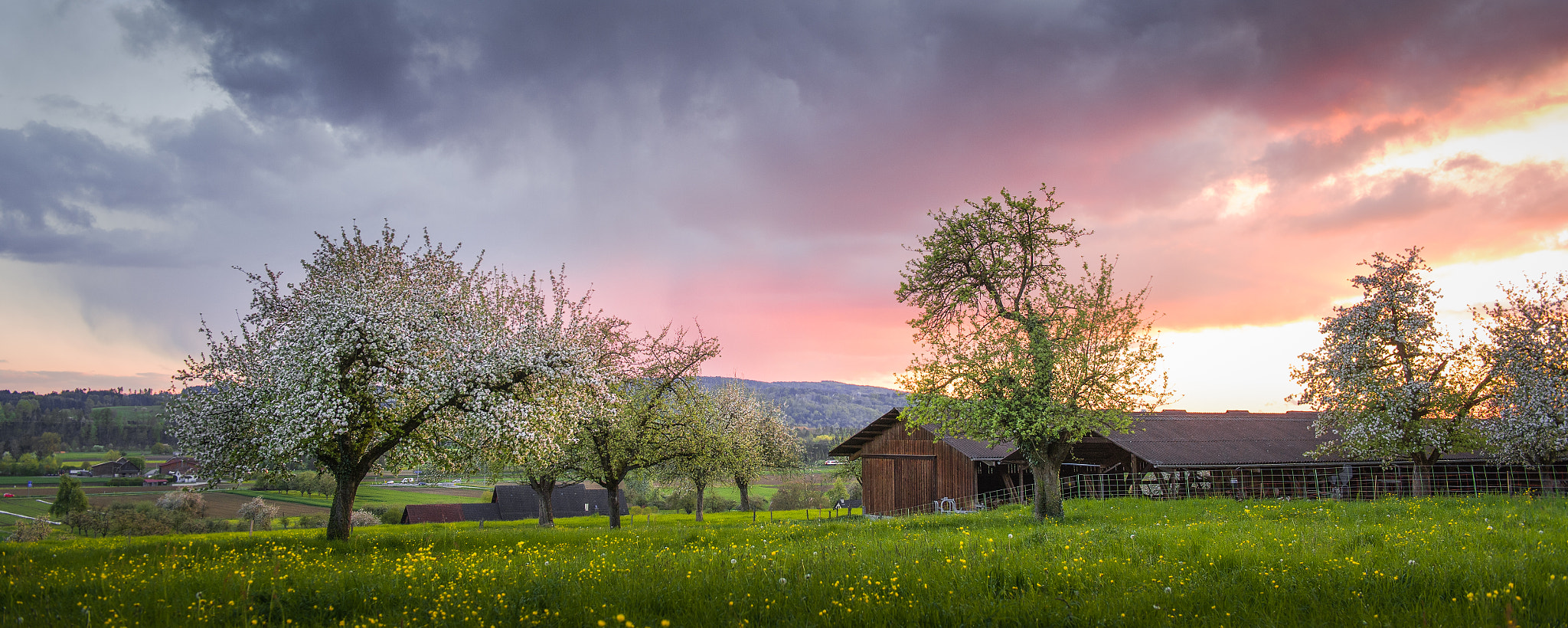 Nikon AF-S Nikkor 24-70mm F2.8G ED sample photo. Sweet rural sunset photography
