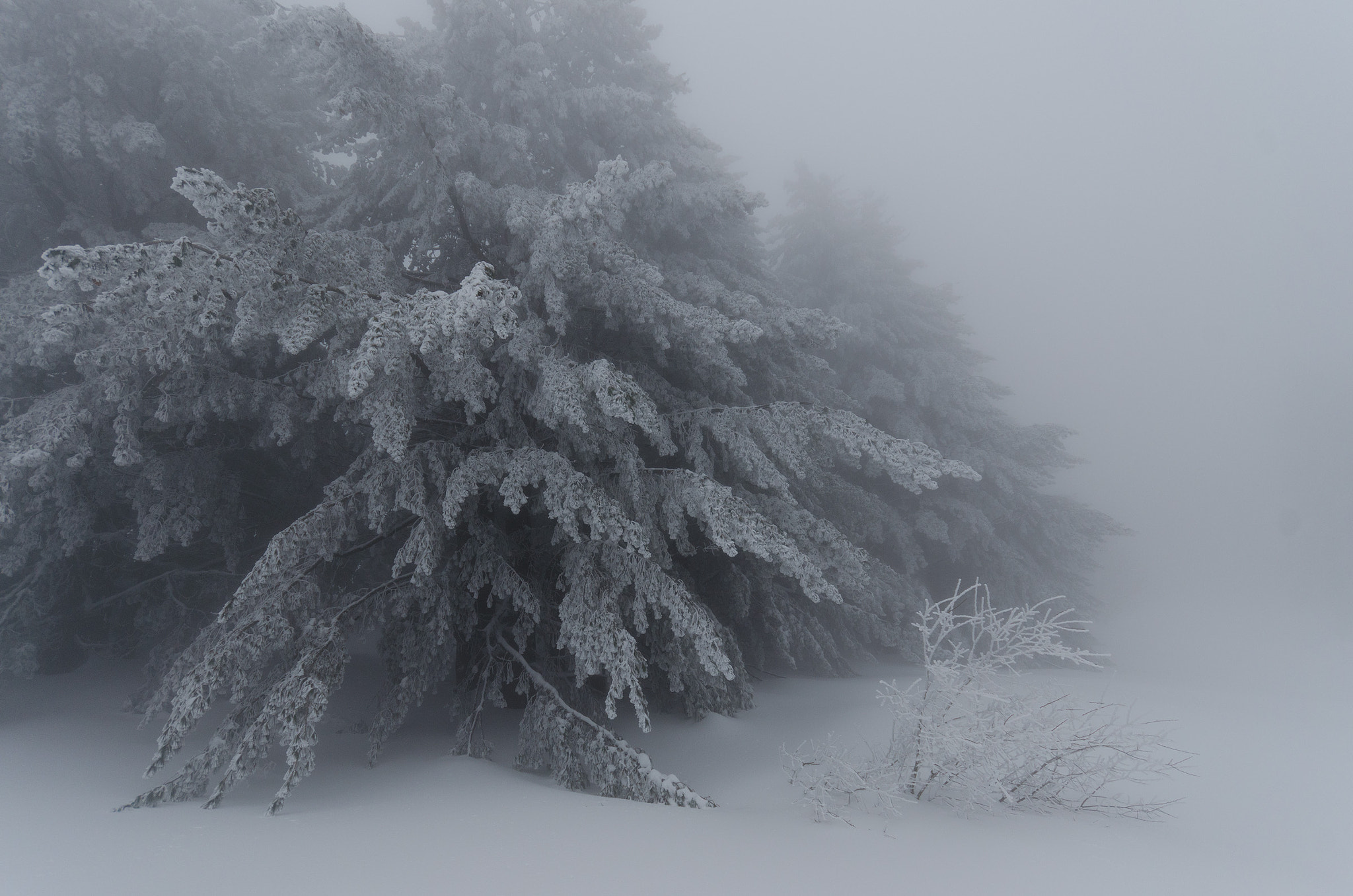 Sigma 10-20mm F4-5.6 EX DC HSM sample photo. Cold photography