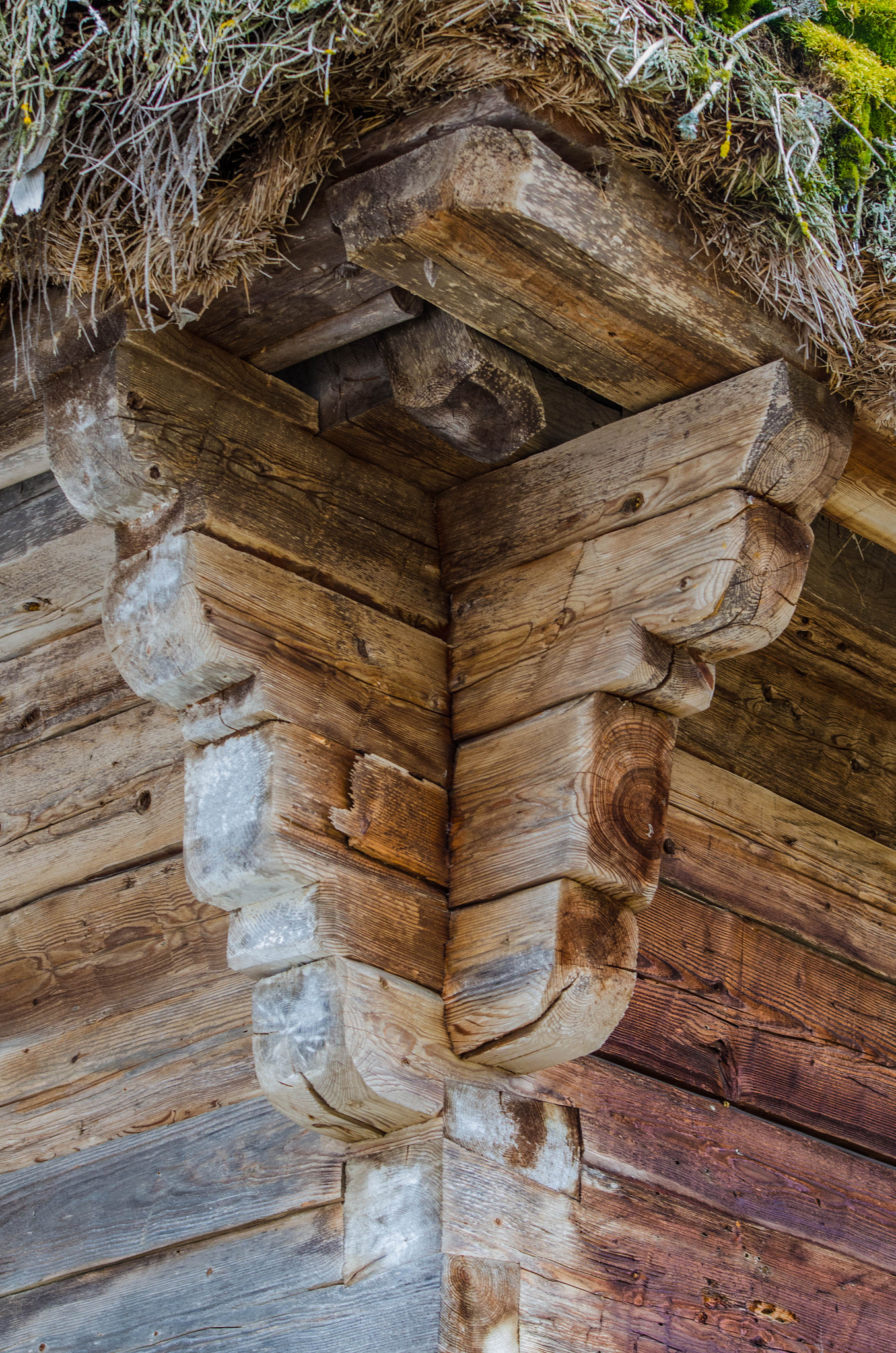 Nikon D7000 + Sigma 70-200mm F2.8 EX DG OS HSM sample photo. Ornaments old house photography