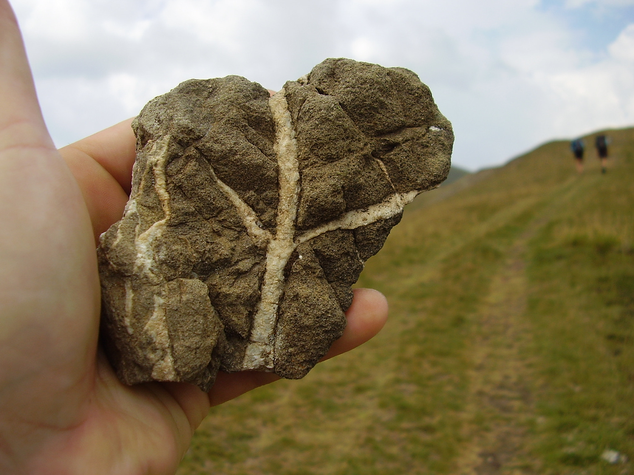 Olympus FE100,X710 sample photo. Hidden in stone photography