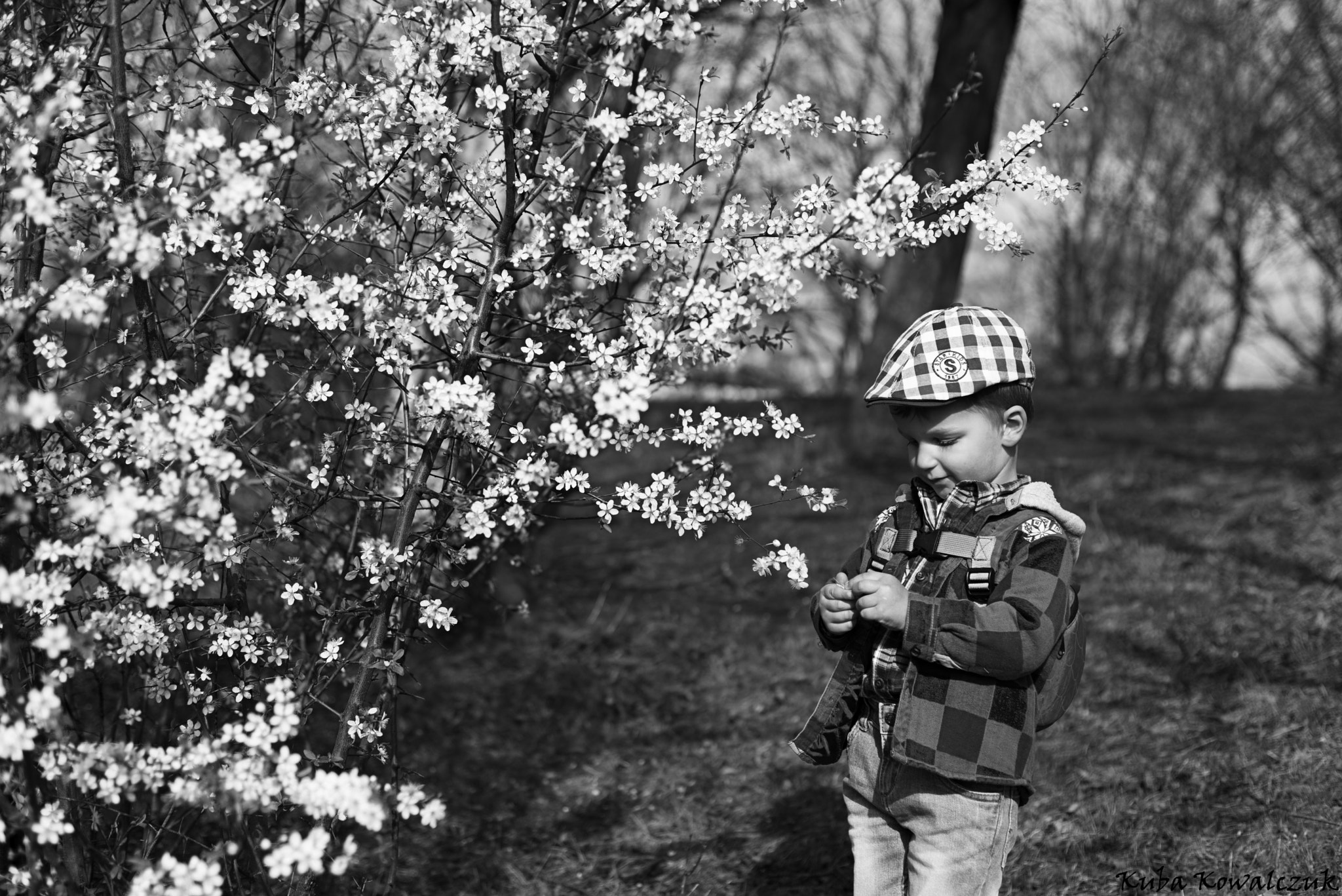 Nikon D610 sample photo. Little boy & spring photography