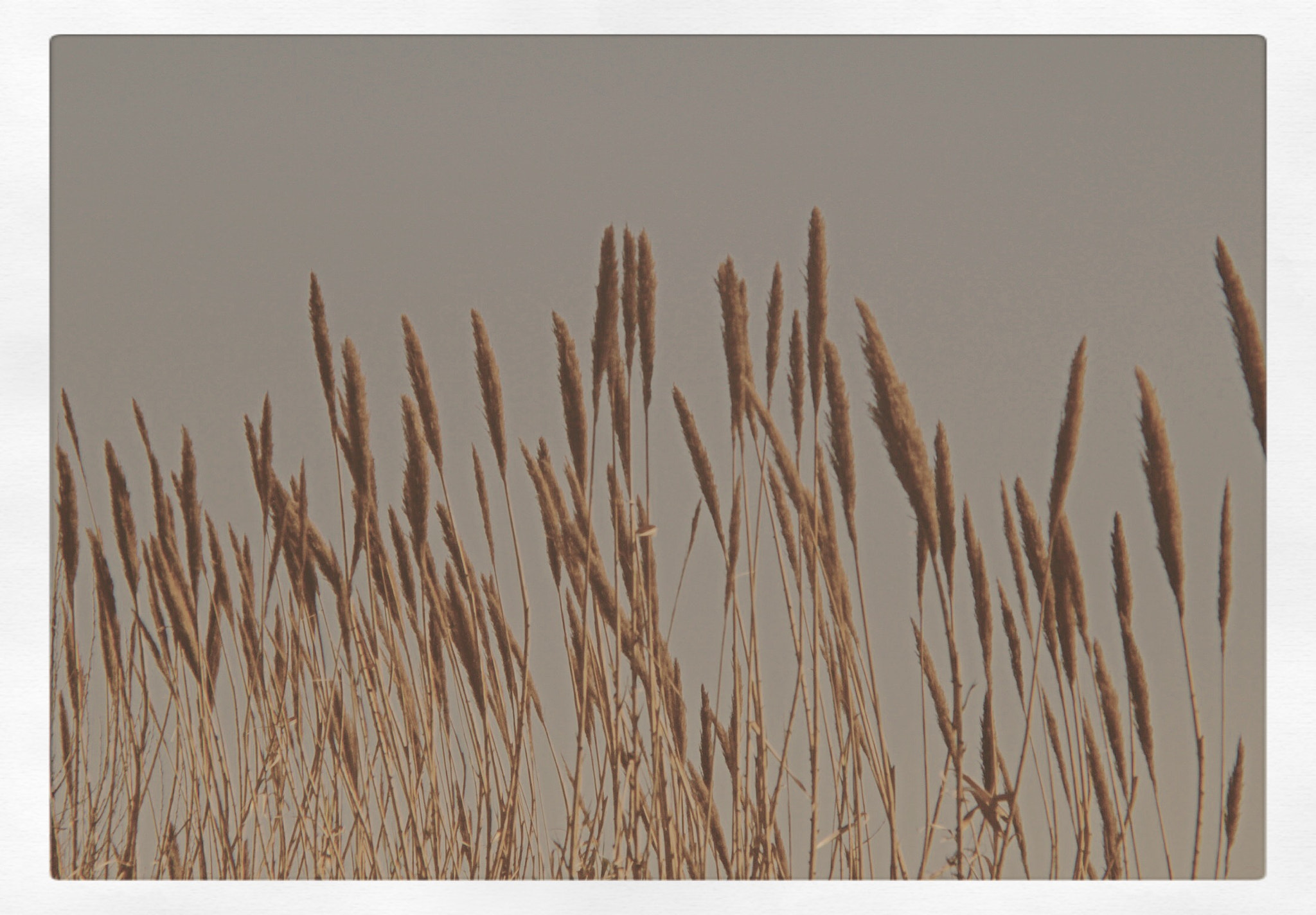Canon EF 35-80mm f/4-5.6 sample photo. Delta photography