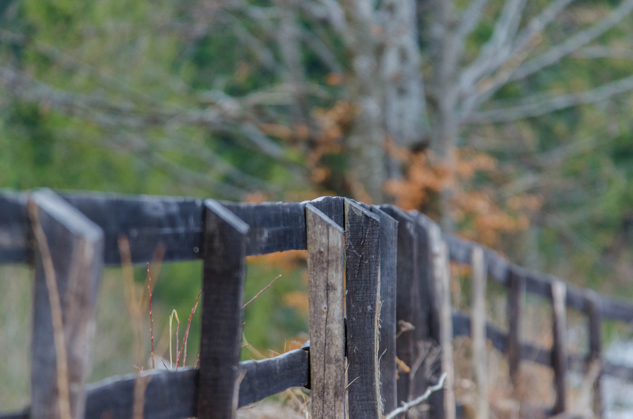 Sigma 70-200mm F2.8 EX DG OS HSM sample photo. Solitude photography