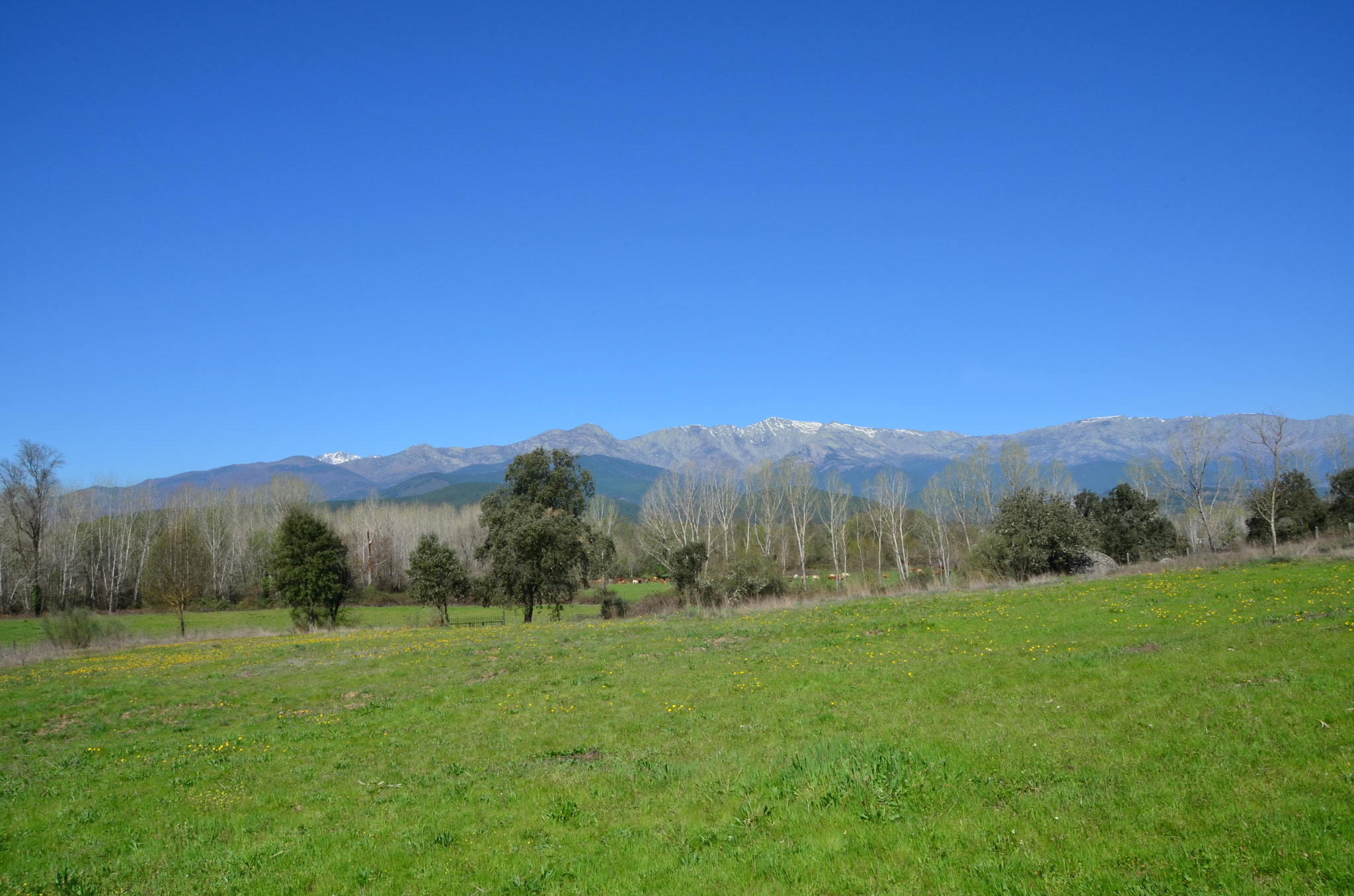 Nikon D5100 + Sigma 18-200mm F3.5-6.3 II DC OS HSM sample photo. Sierra de gredos photography