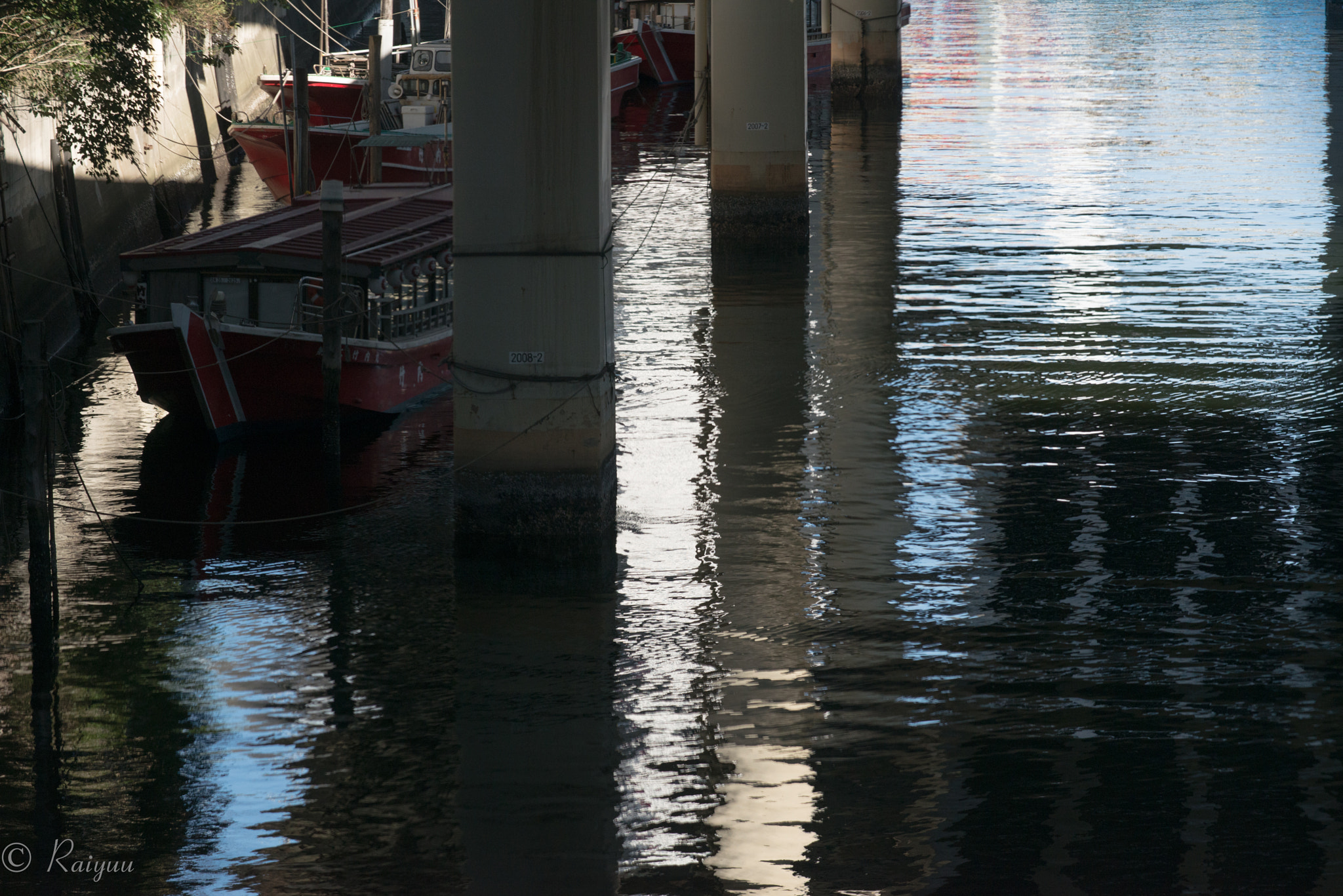 Nikon D800E + ZEISS Apo Sonnar T* 135mm F2 sample photo. Dsc_8023-1 photography